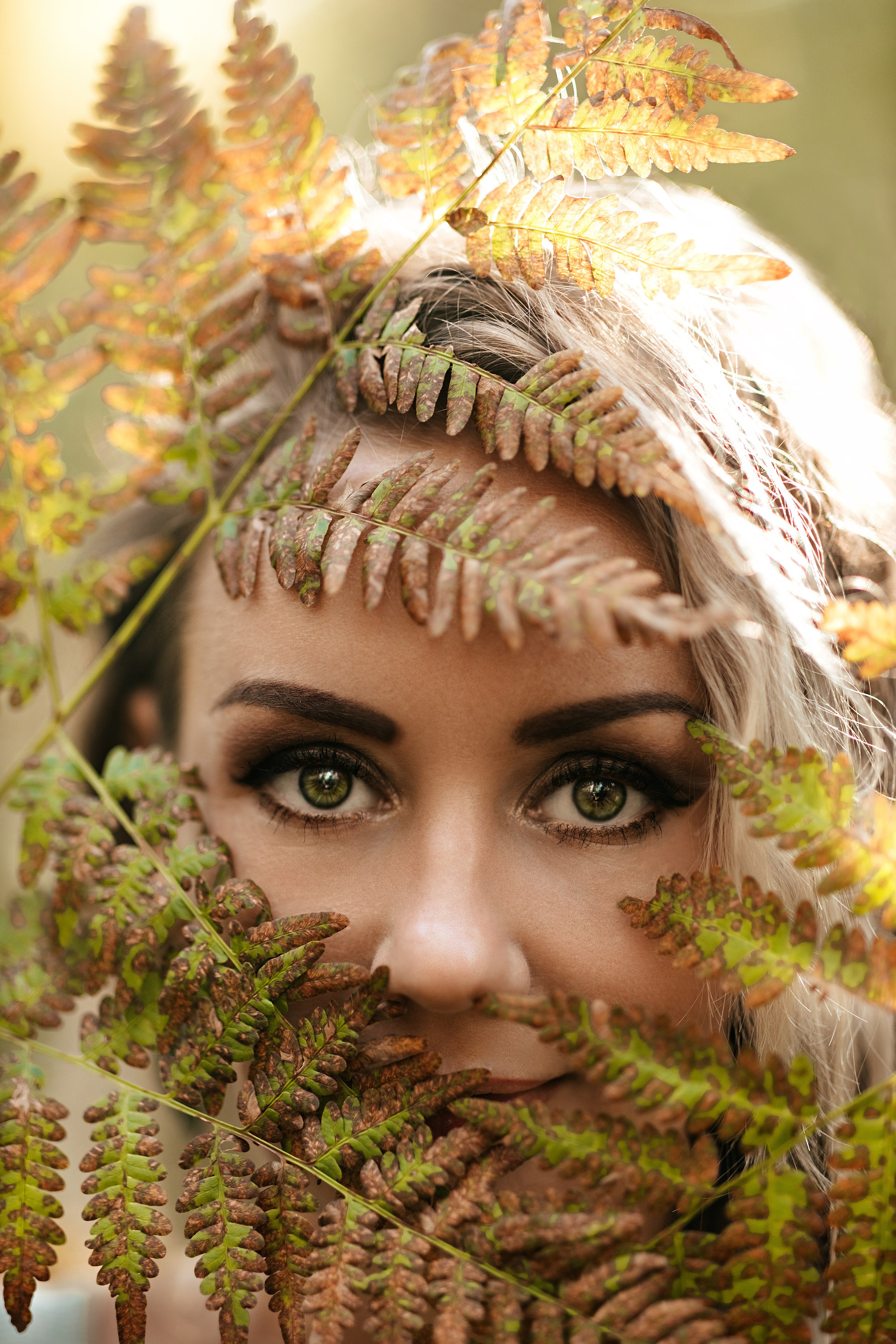 В папоротниках