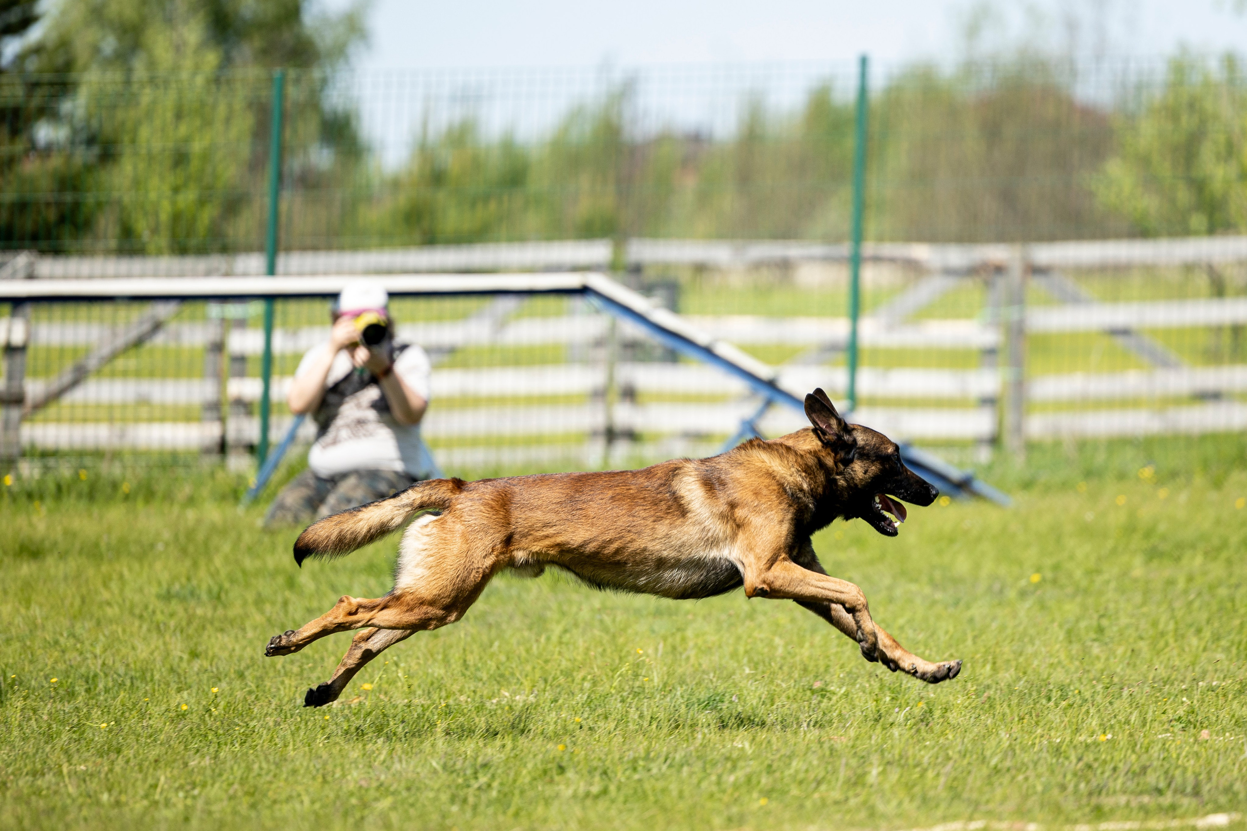 Испытания по мондьорингу в Нижнем Новгороде. Фотограф-анималист Анна Маринич
