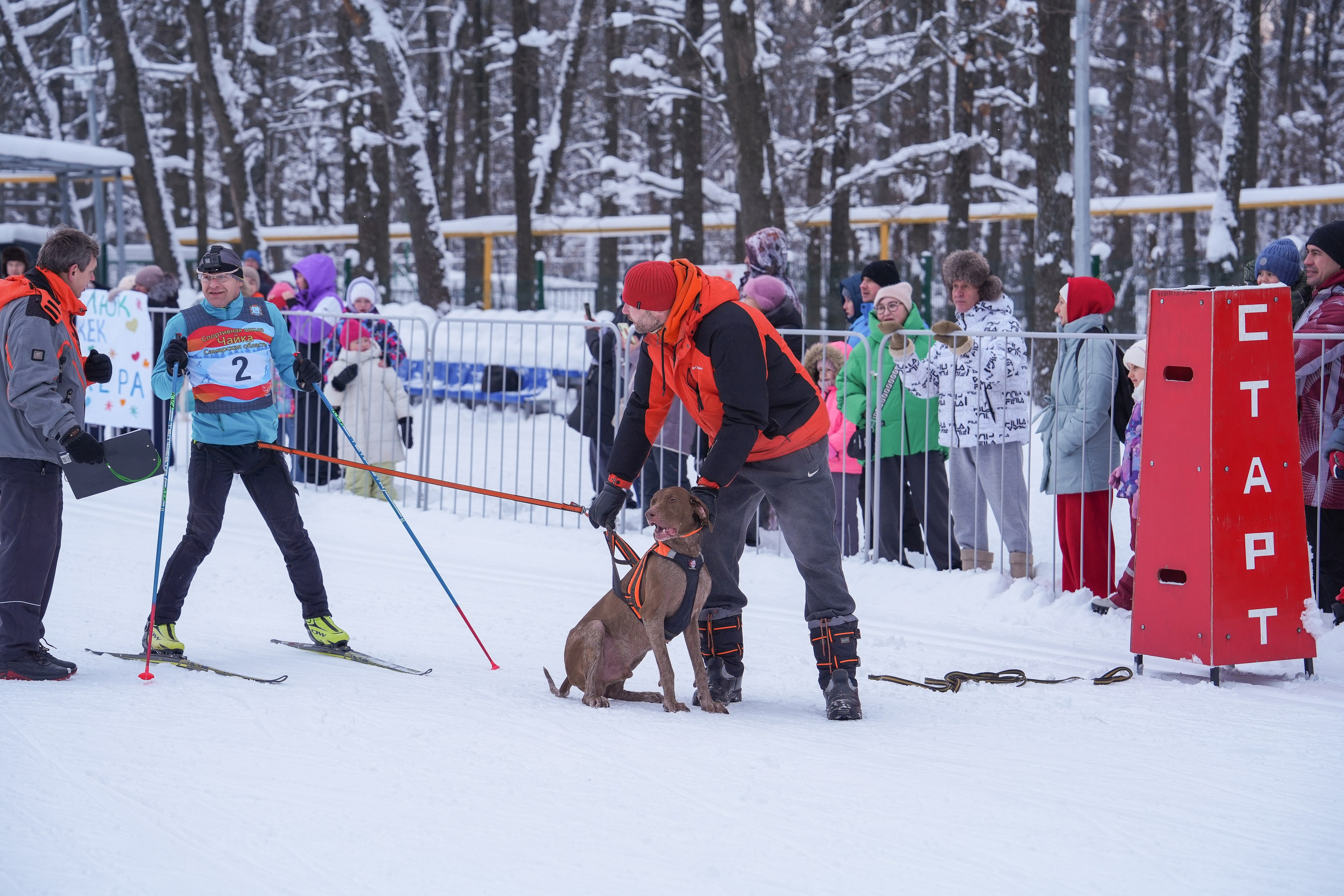Рождественские гонки на собаках. Т/б «Чайка». Семейный фотограф Владимир Просвиркин. г. Самара