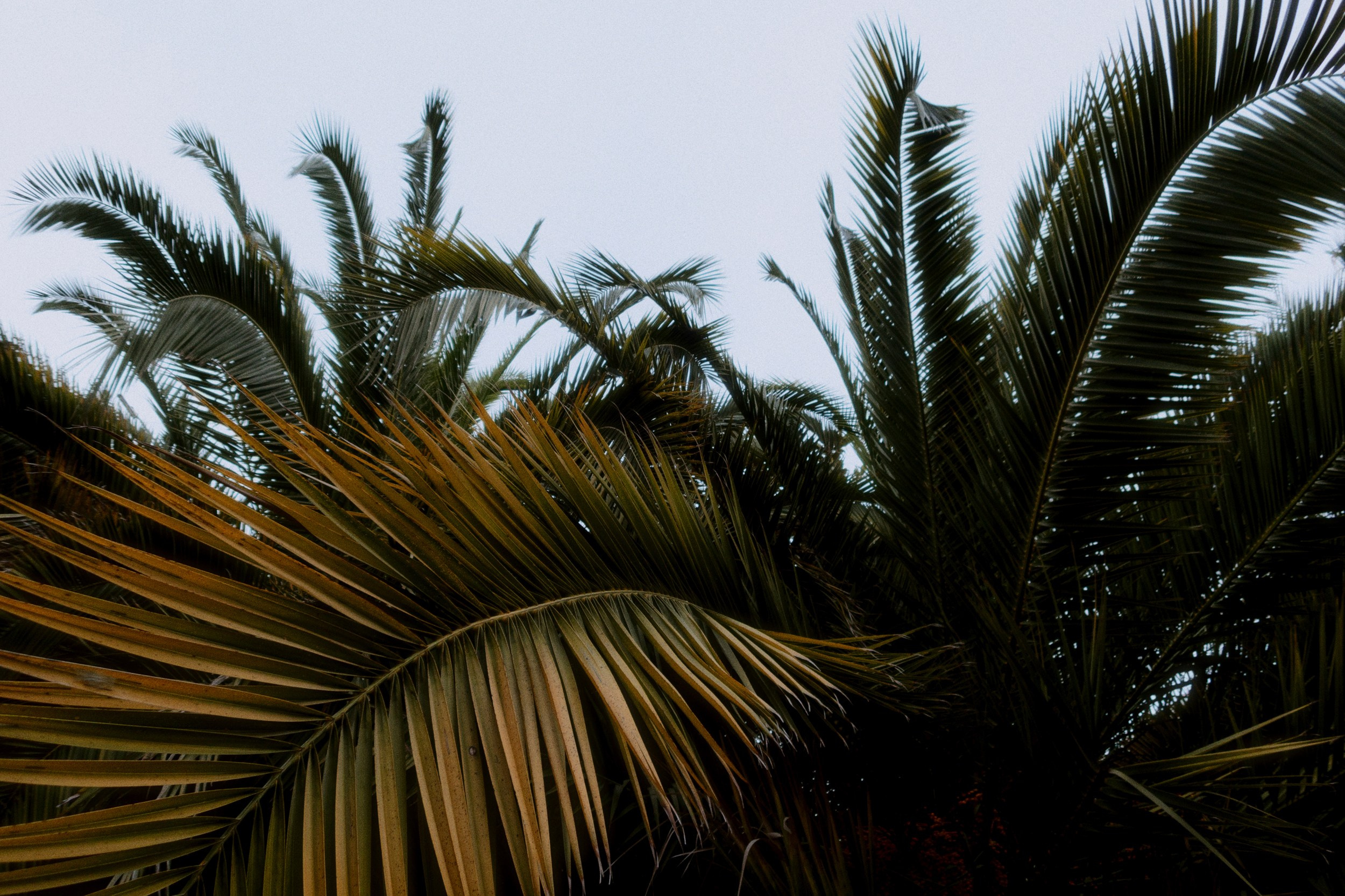 OM-System Tough-7 / Sochi Port. Фотограф Юрин Евгений