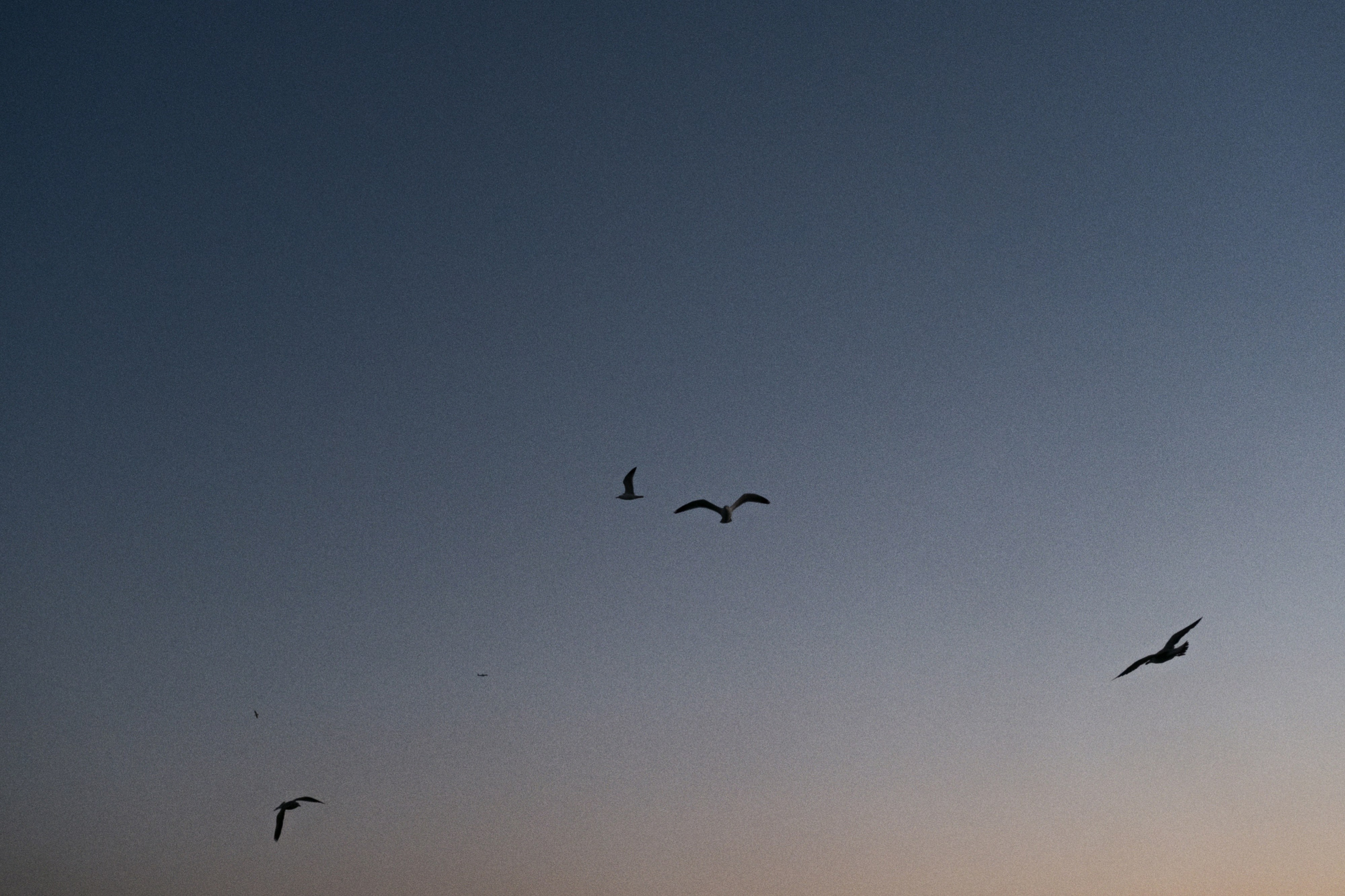 Kadikoy x Moda, Istanbul / Türkey AW25. Фотограф Юрин Евгений