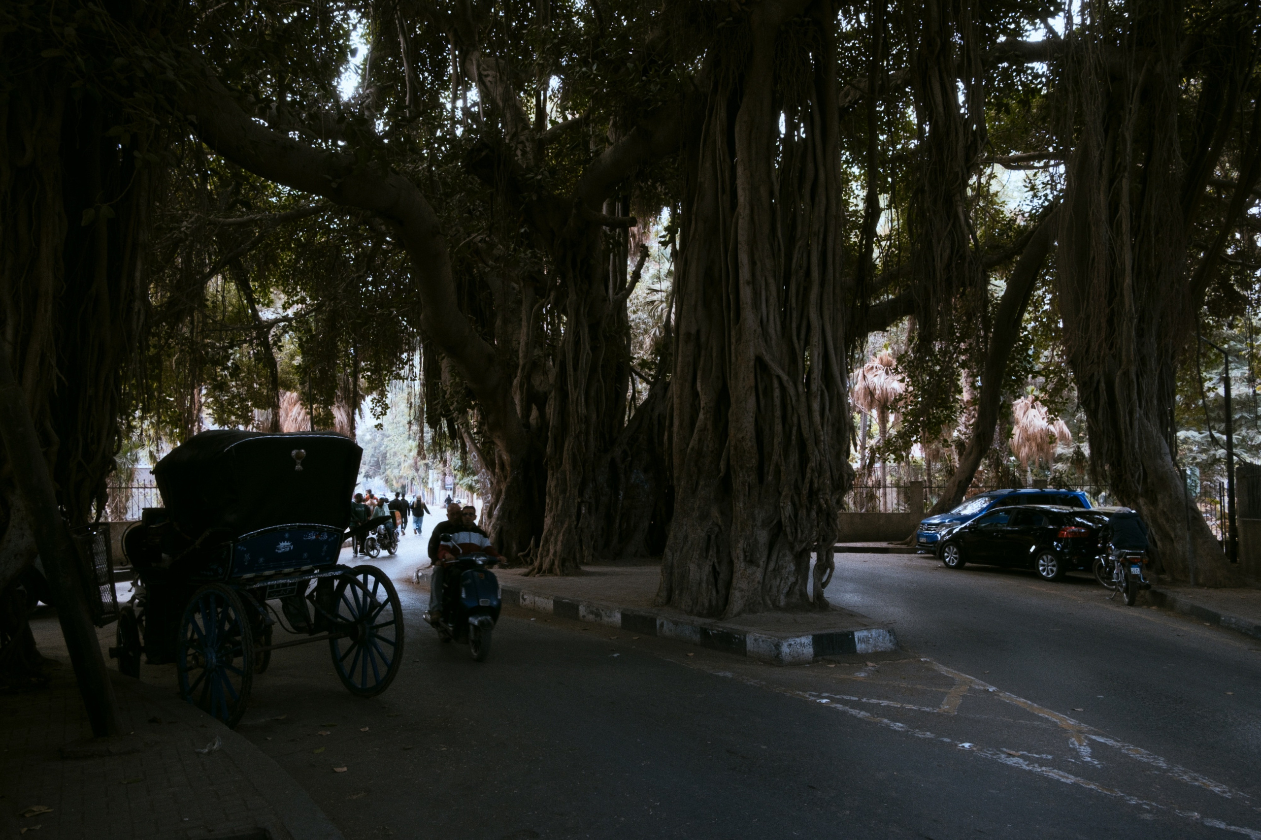 Cairo / Egypt AW25. Фотограф Юрин Евгений