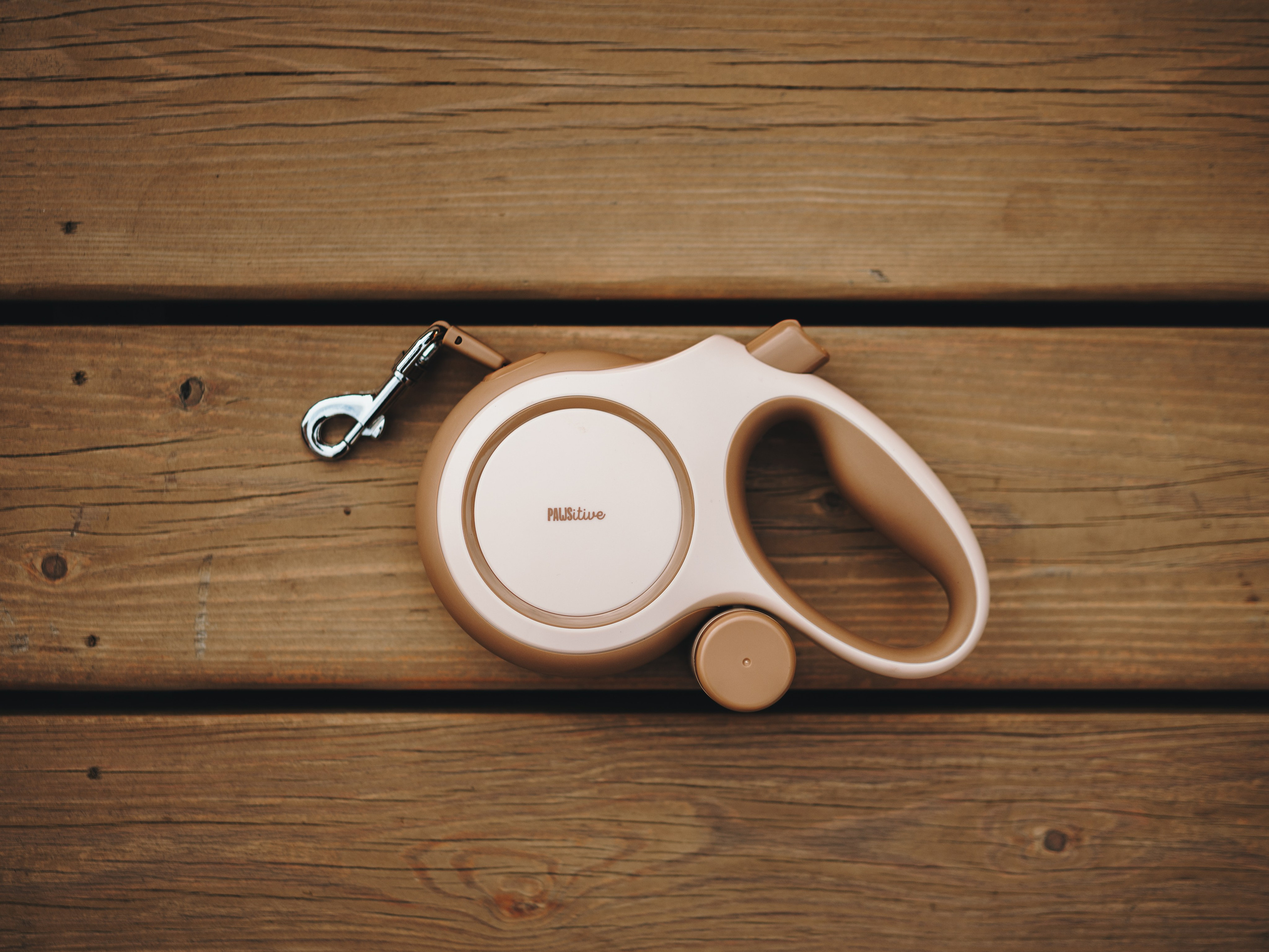 Pawsitive. Семейный фотограф анималист Ананьева Мария — Москва