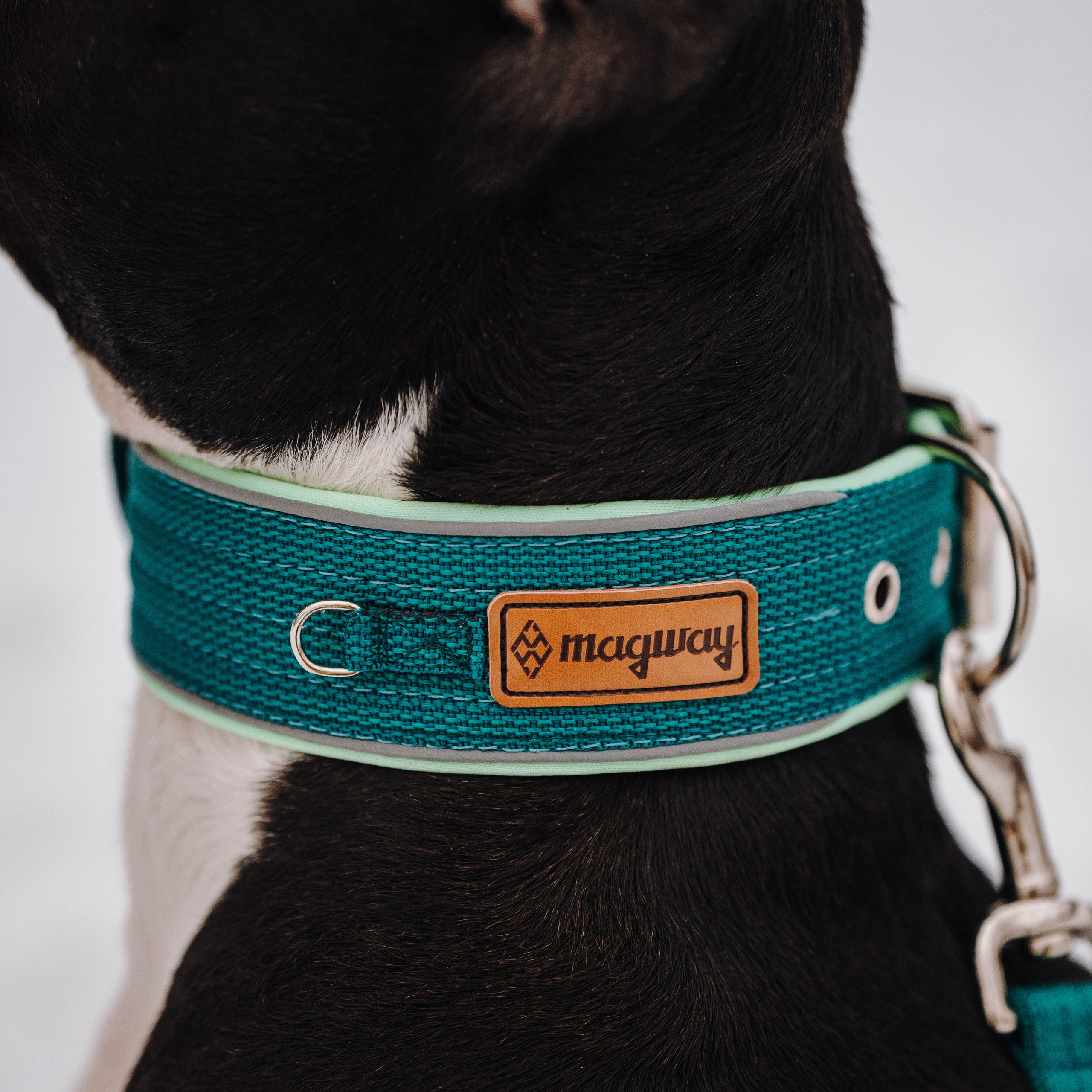 MagWay. Семейный фотограф анималист Ананьева Мария — Москва