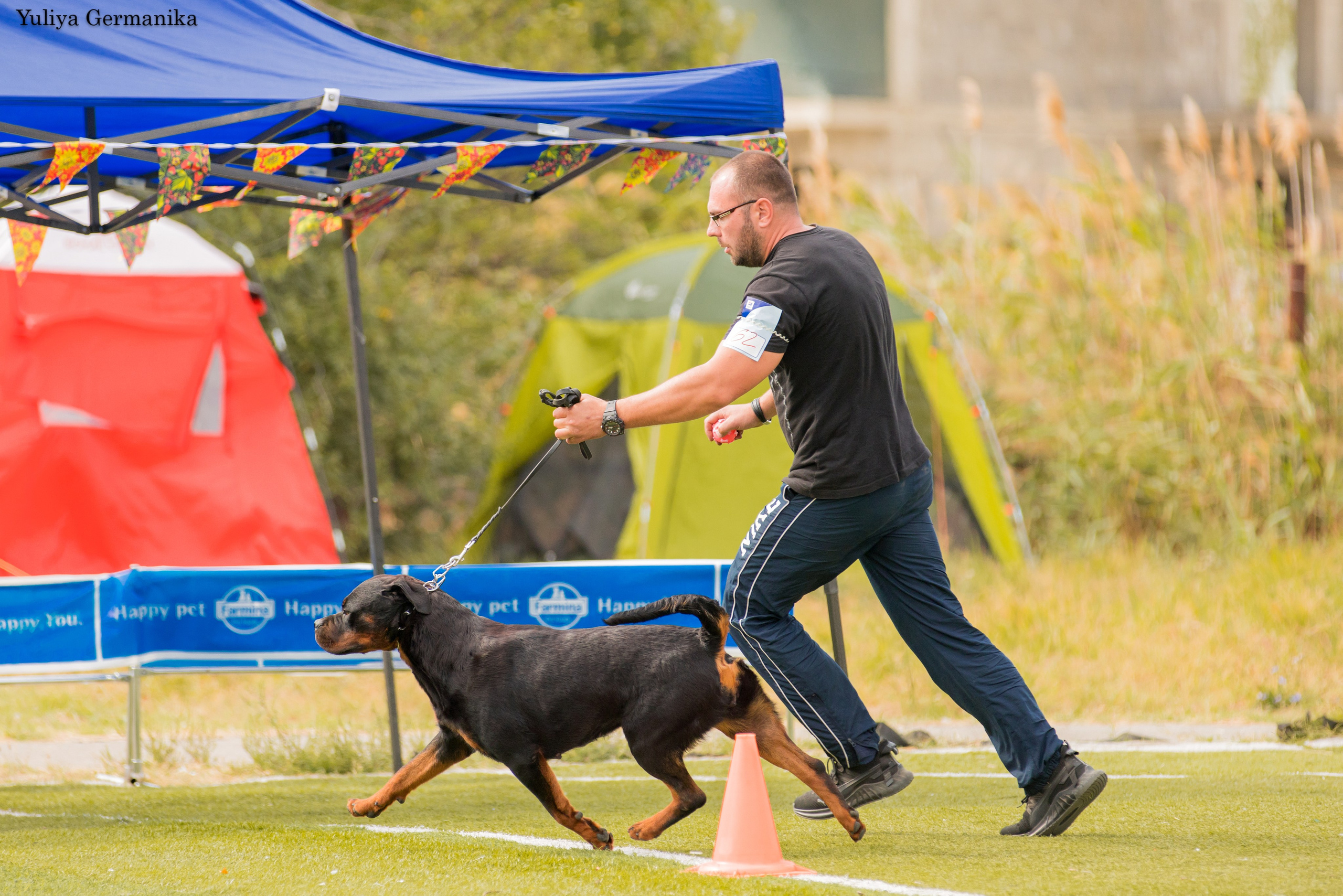 Анапа 16-17.09.2023 моно ротвейлеров. Фотограф-анималист Юлия Германика