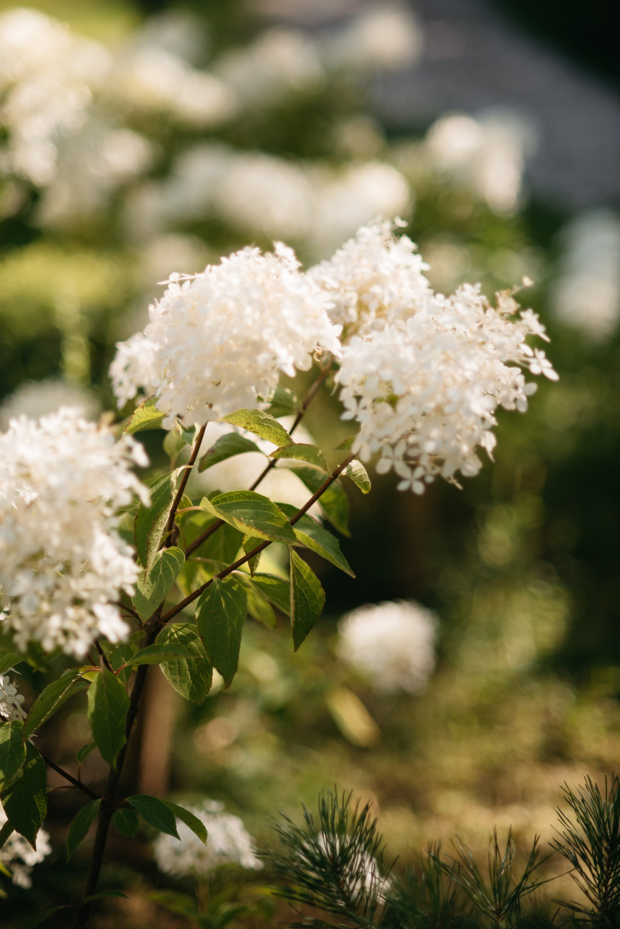 Свадебная фотосессия Ижевск. Свадебный фотограф Ижевск Петр Шишков
