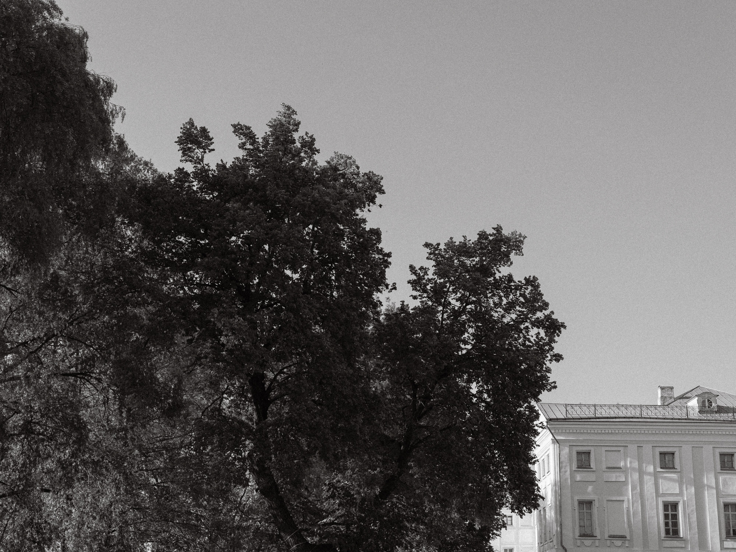 Анонс Wedding day Андрей и Вероника. Свадебный фотограф Колесников Антон