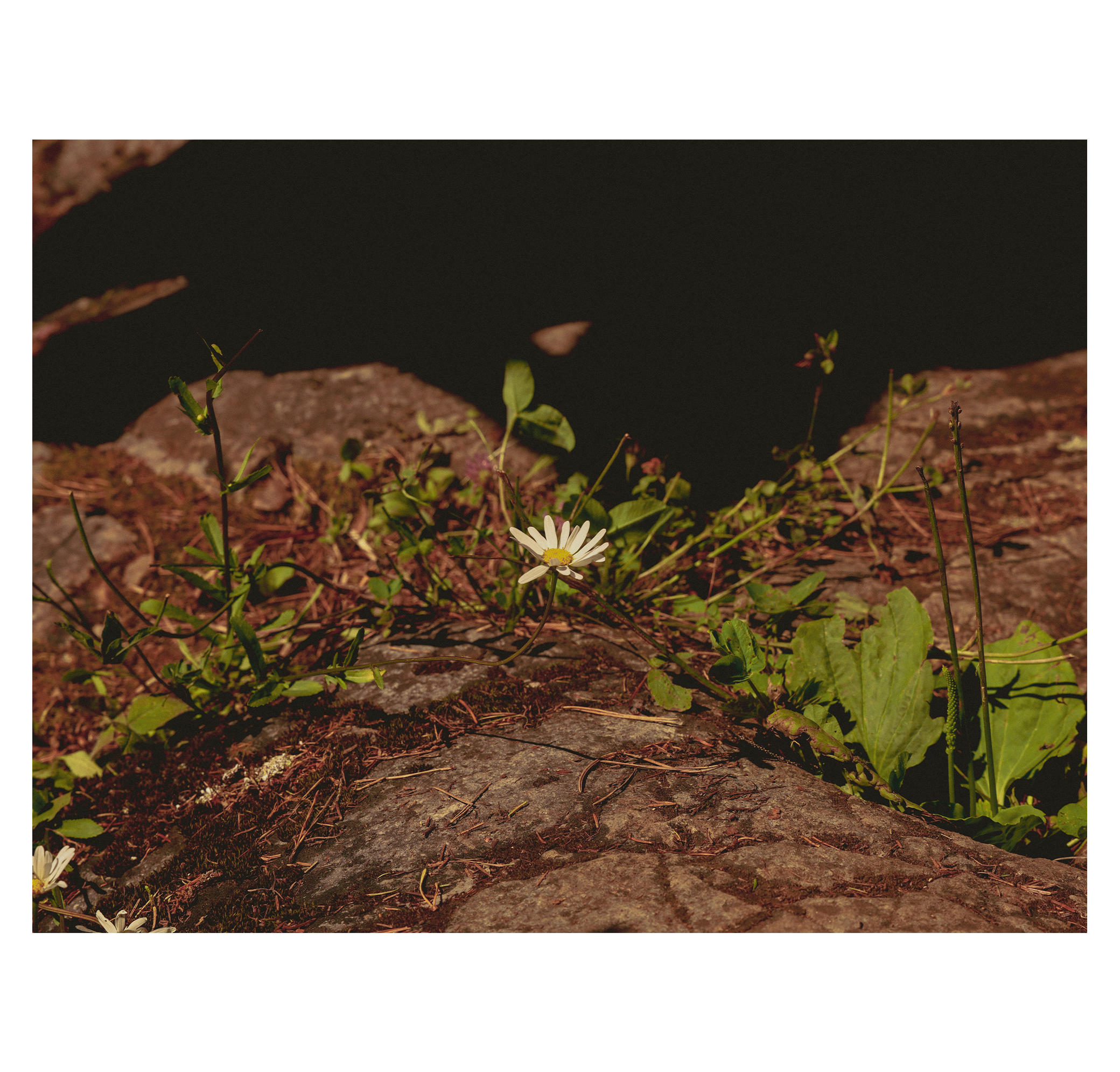 Summer hike. Фотограф/дизайнер в Екатеринбурге Хитрый Дмитрий