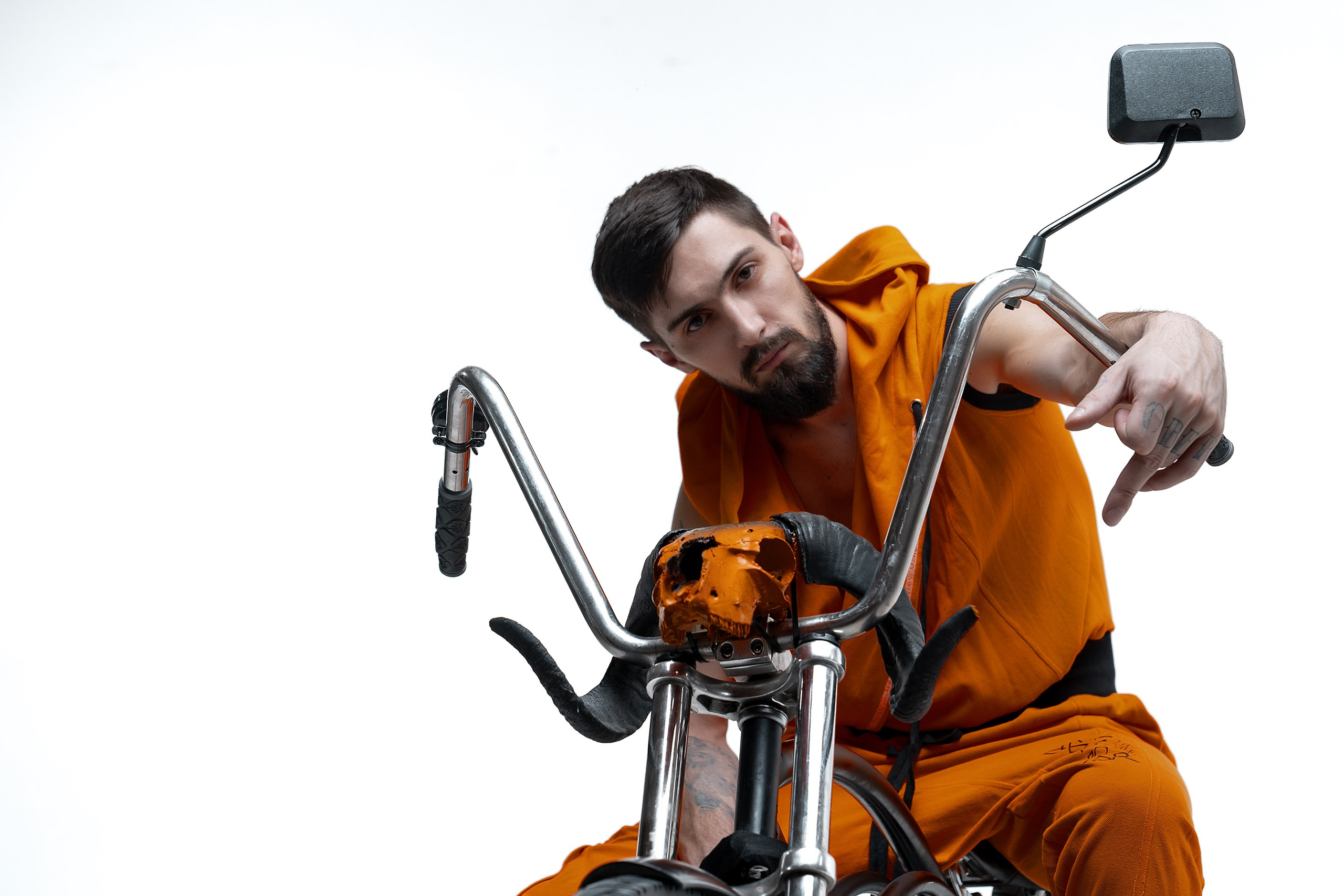 DOBERMAN. Фотограф TAULAN_1