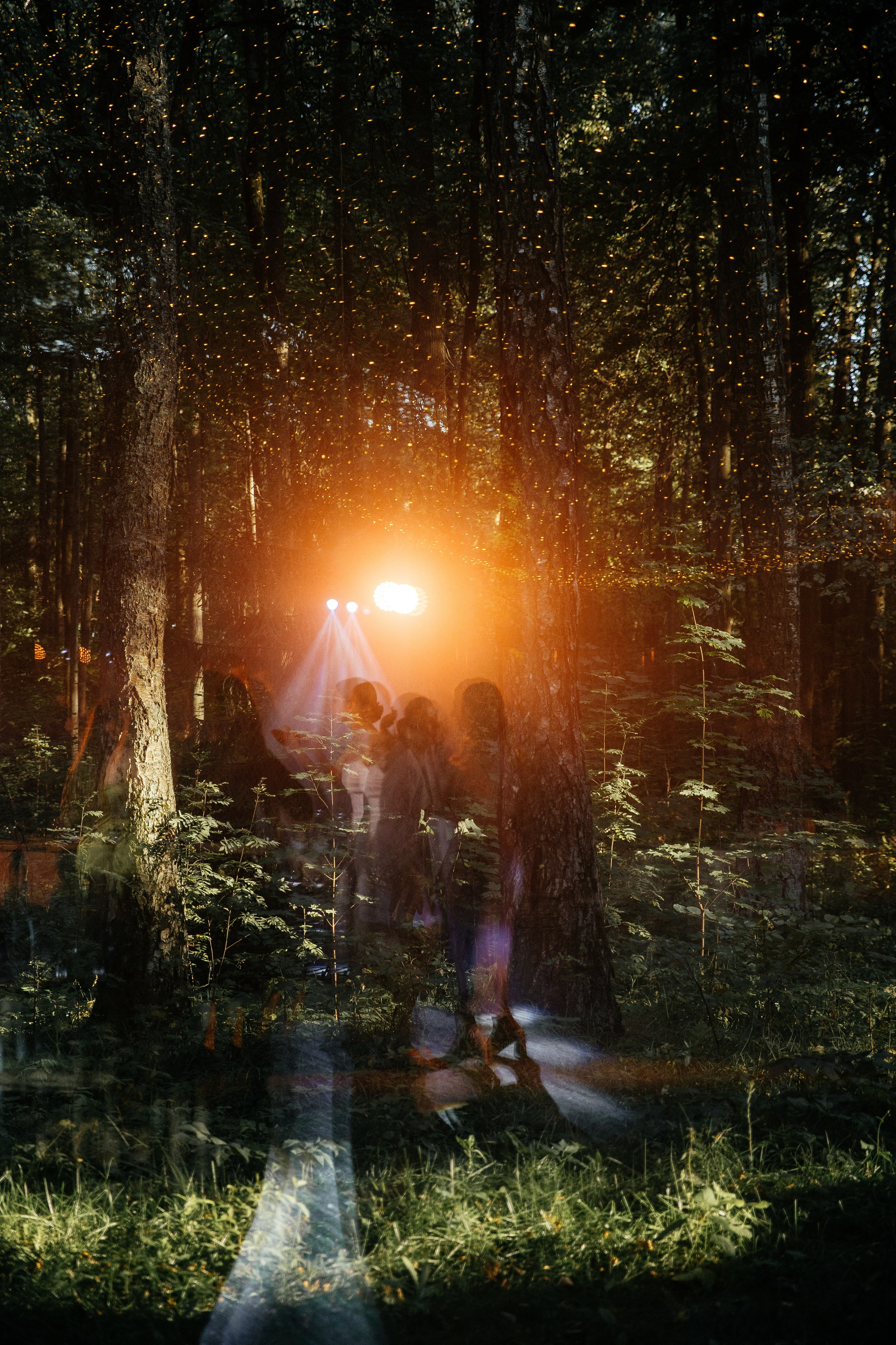 Veronika&Nikita. Валерия Солнцева свадебный и семейный фотограф