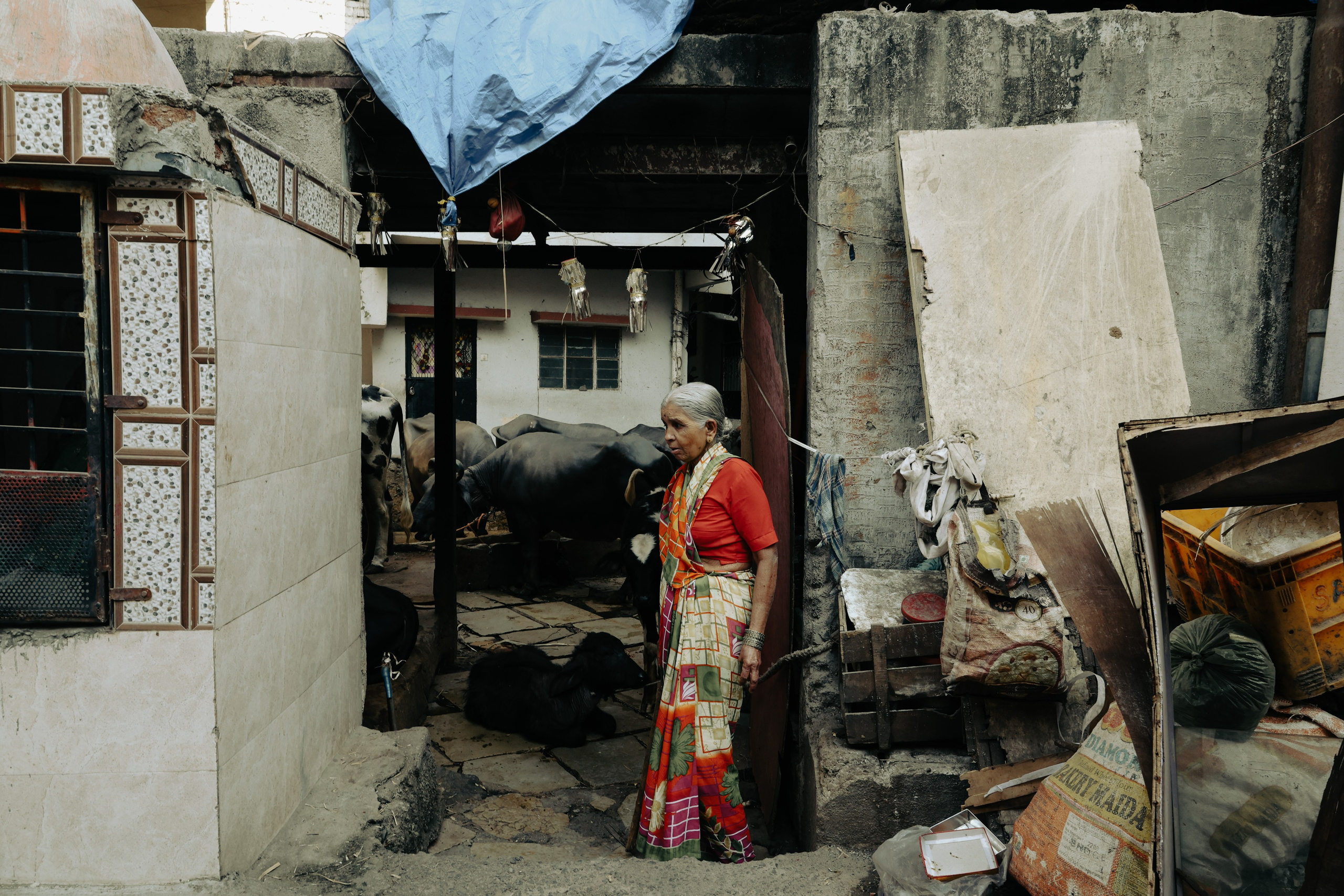 India. Фотограф в Москве