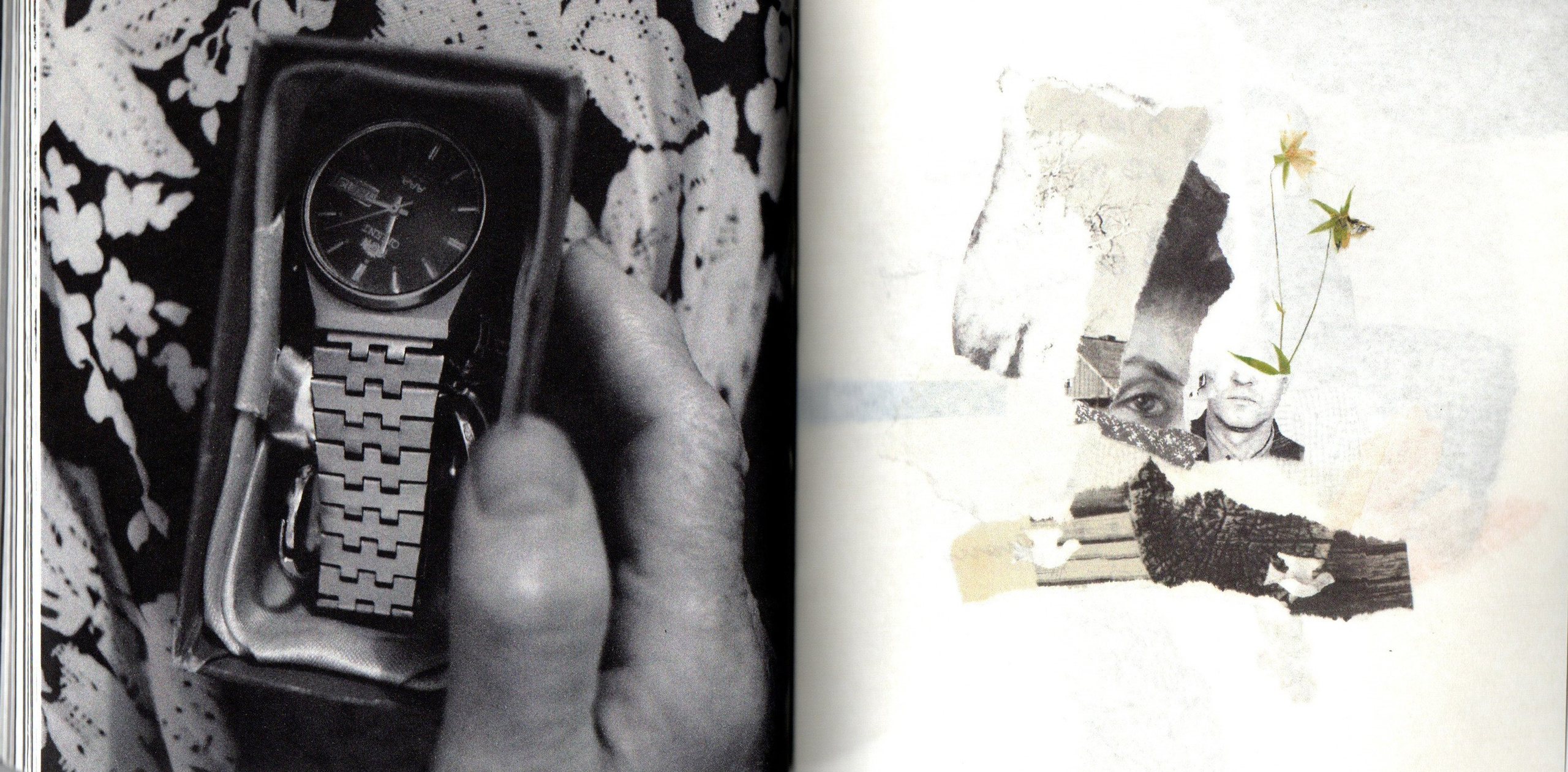 Деревья, которые дают сил. Фотограф Анна Кирнос