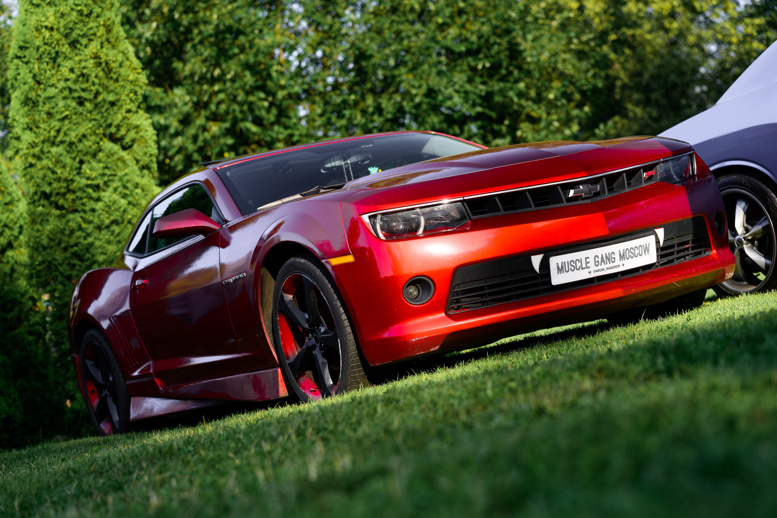 Tuning Open Fest 2025. Авто и мотоспорт — фотограф Антон Медведев iCoguar