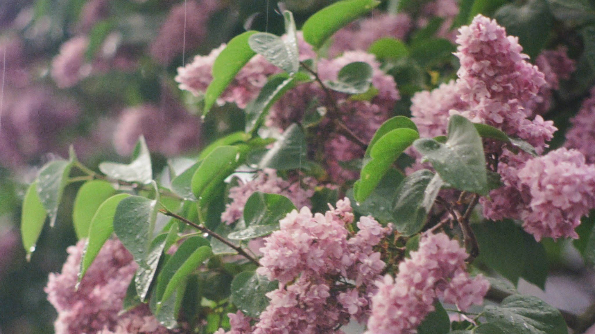 Фотограф · barwarm35mm · Москва