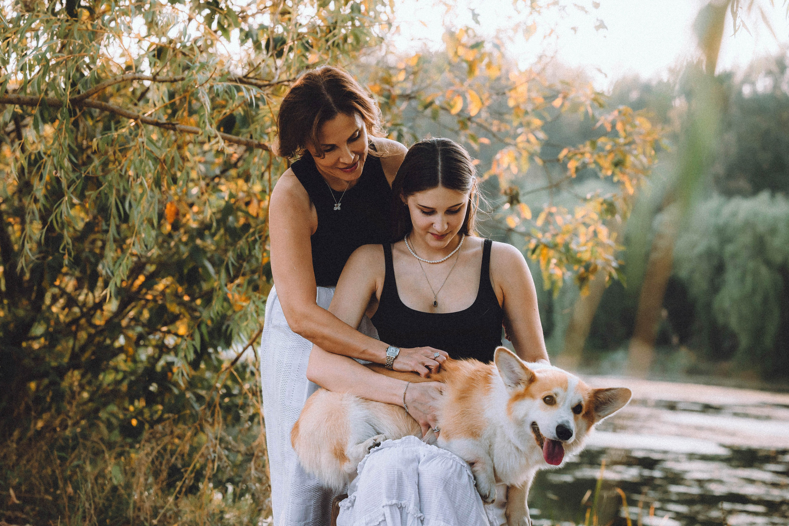 Арчи и его семья