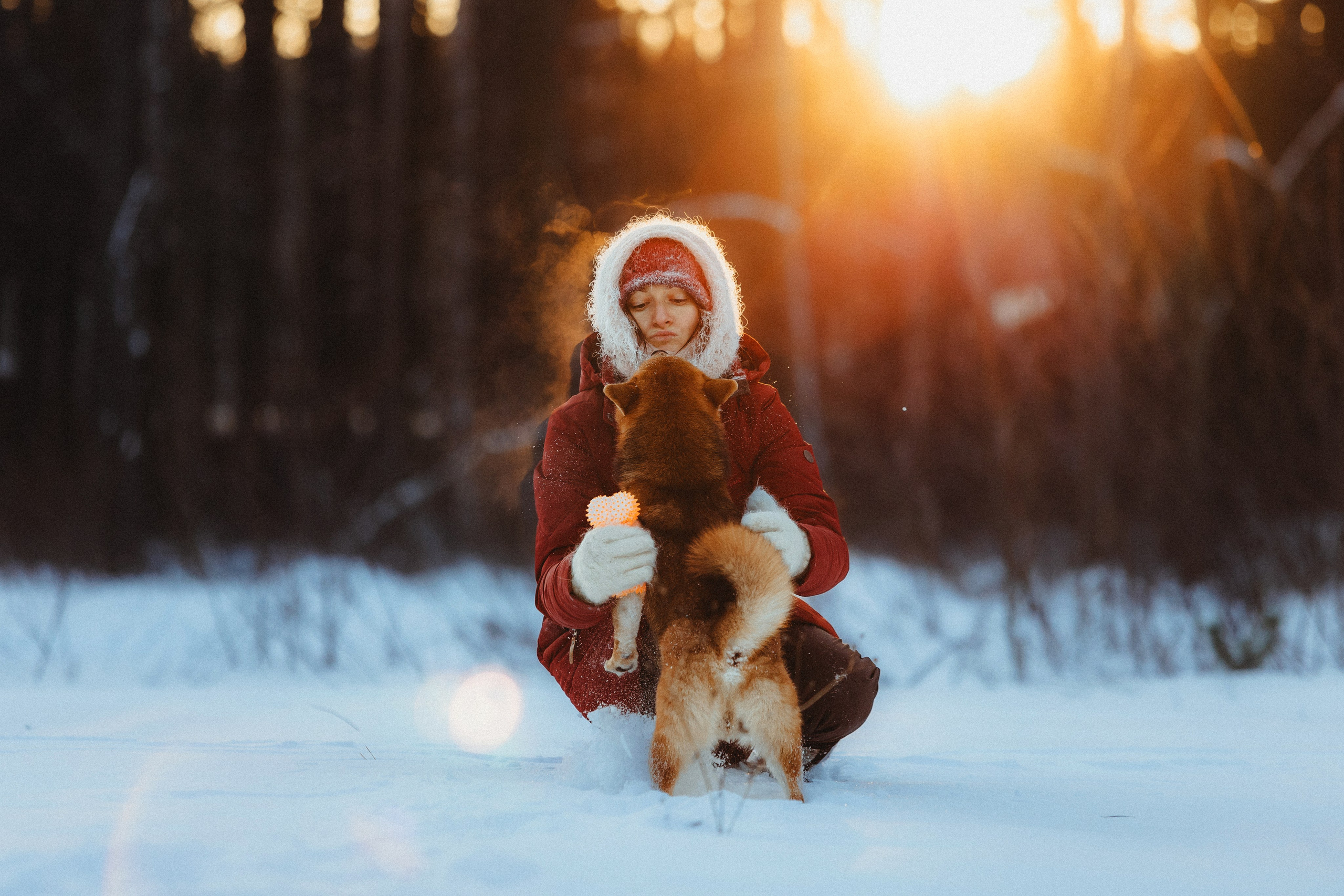 Шед, Цири и Ира