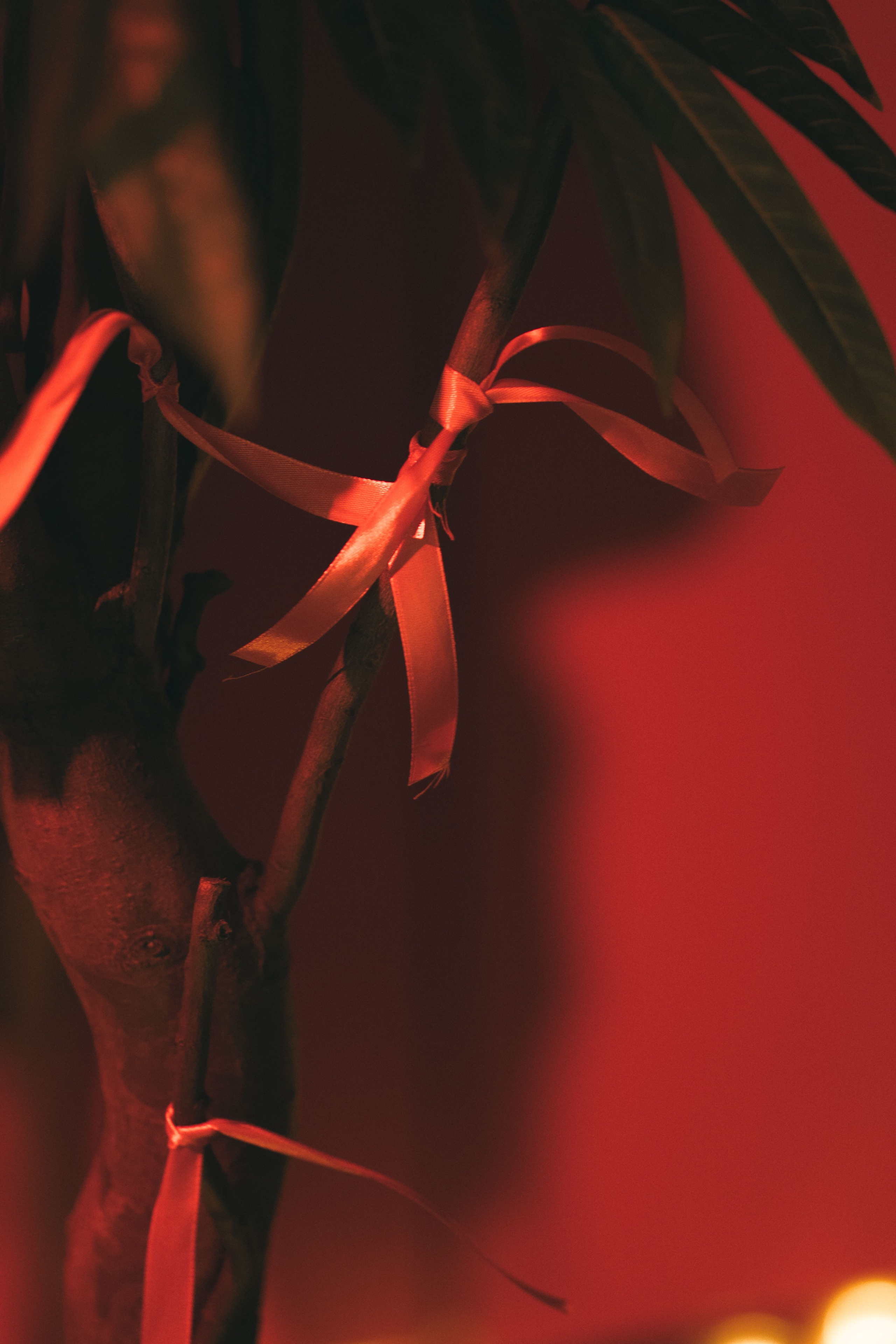 SO STRIP // Открытие студии. Репортажный фотограф в Казани Виктория Трунова