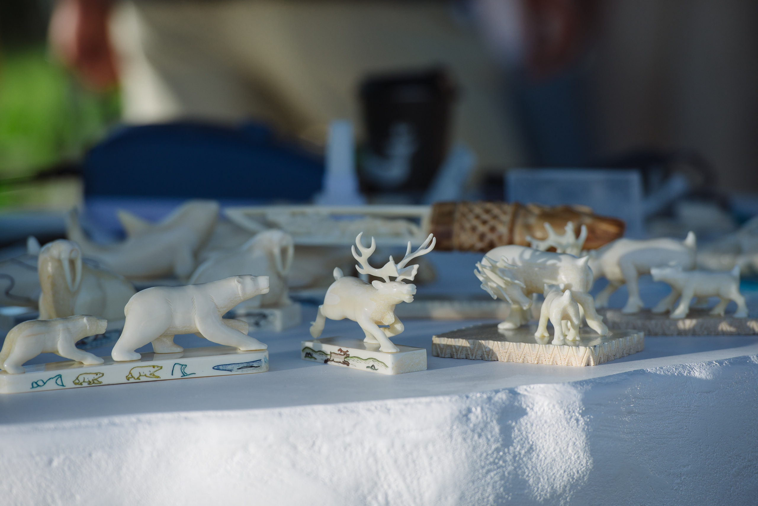 ВЭФ 2024. Фотограф Мария Каюрова