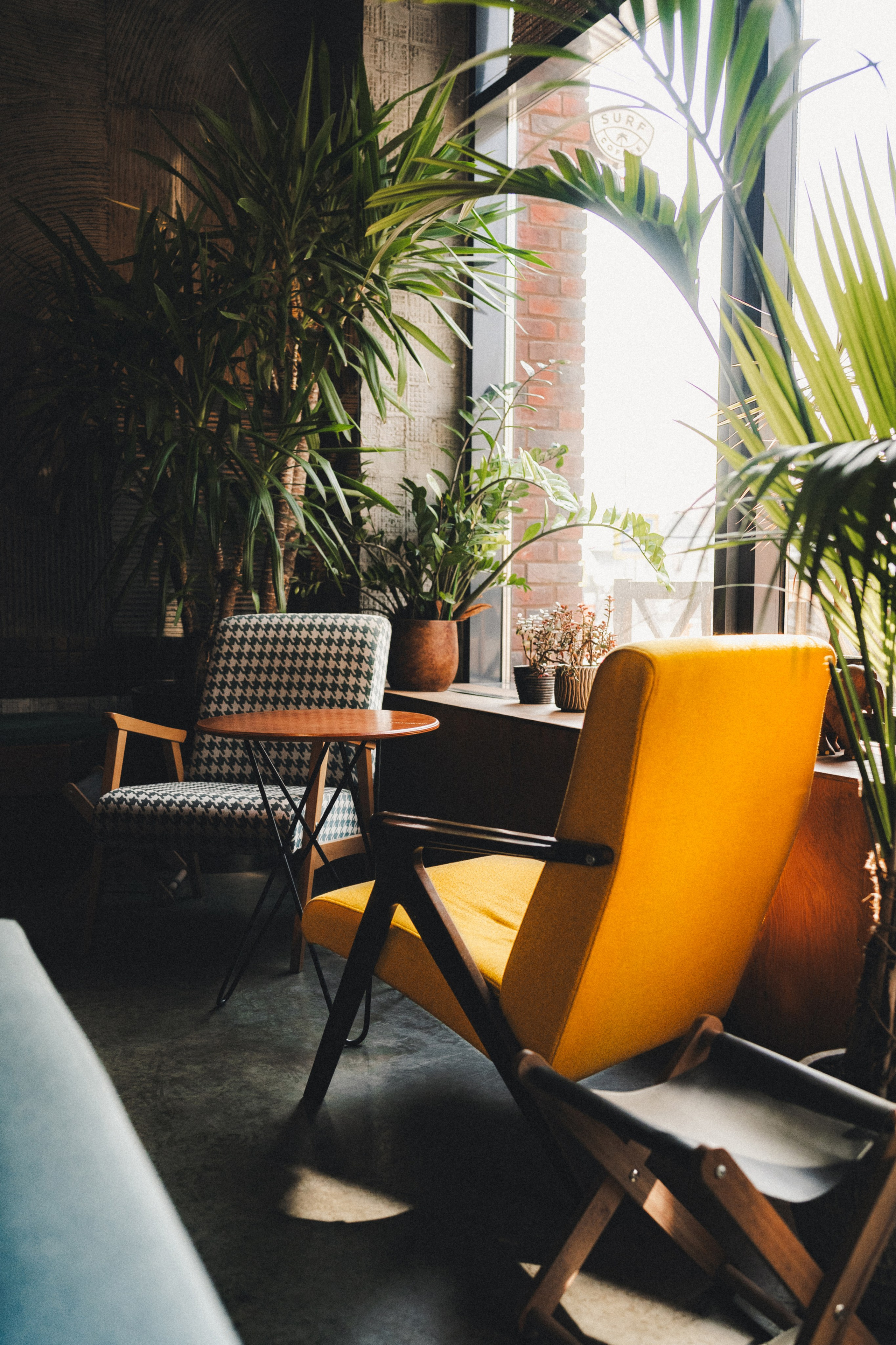 Фотосъёмка для сети кофеен Surf Coffee. Фотограф Илья К. в Москве