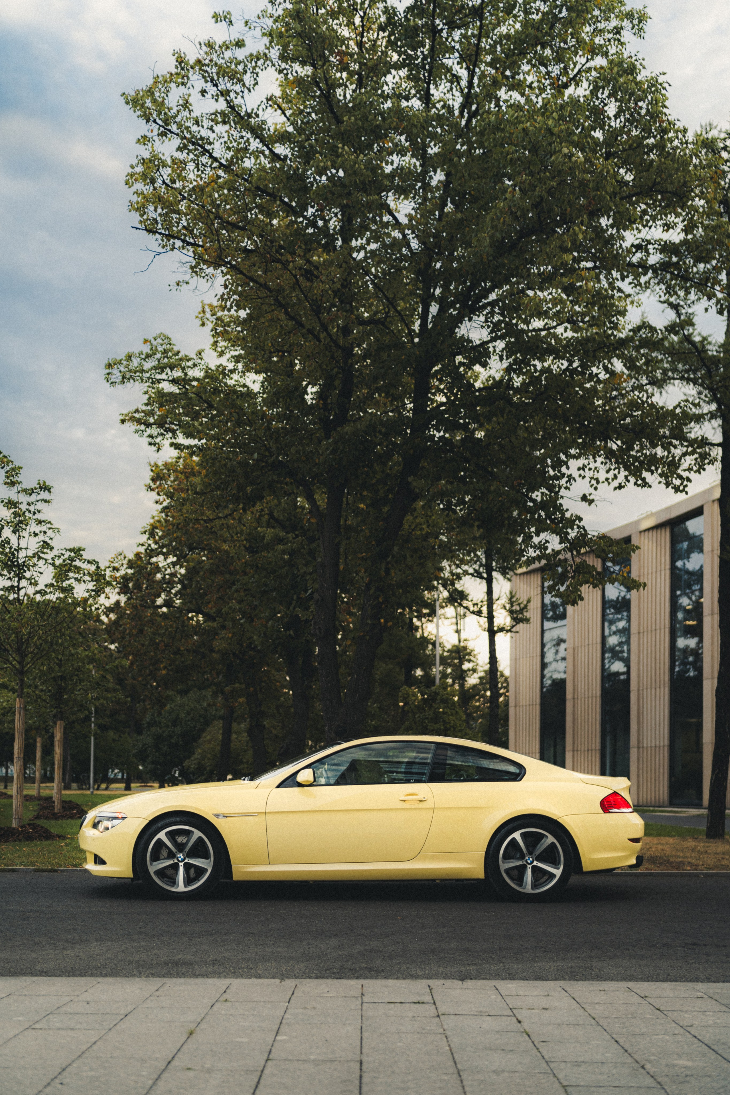 BMW 650i (Dakar Yellow). Фотограф Илья К. в Москве