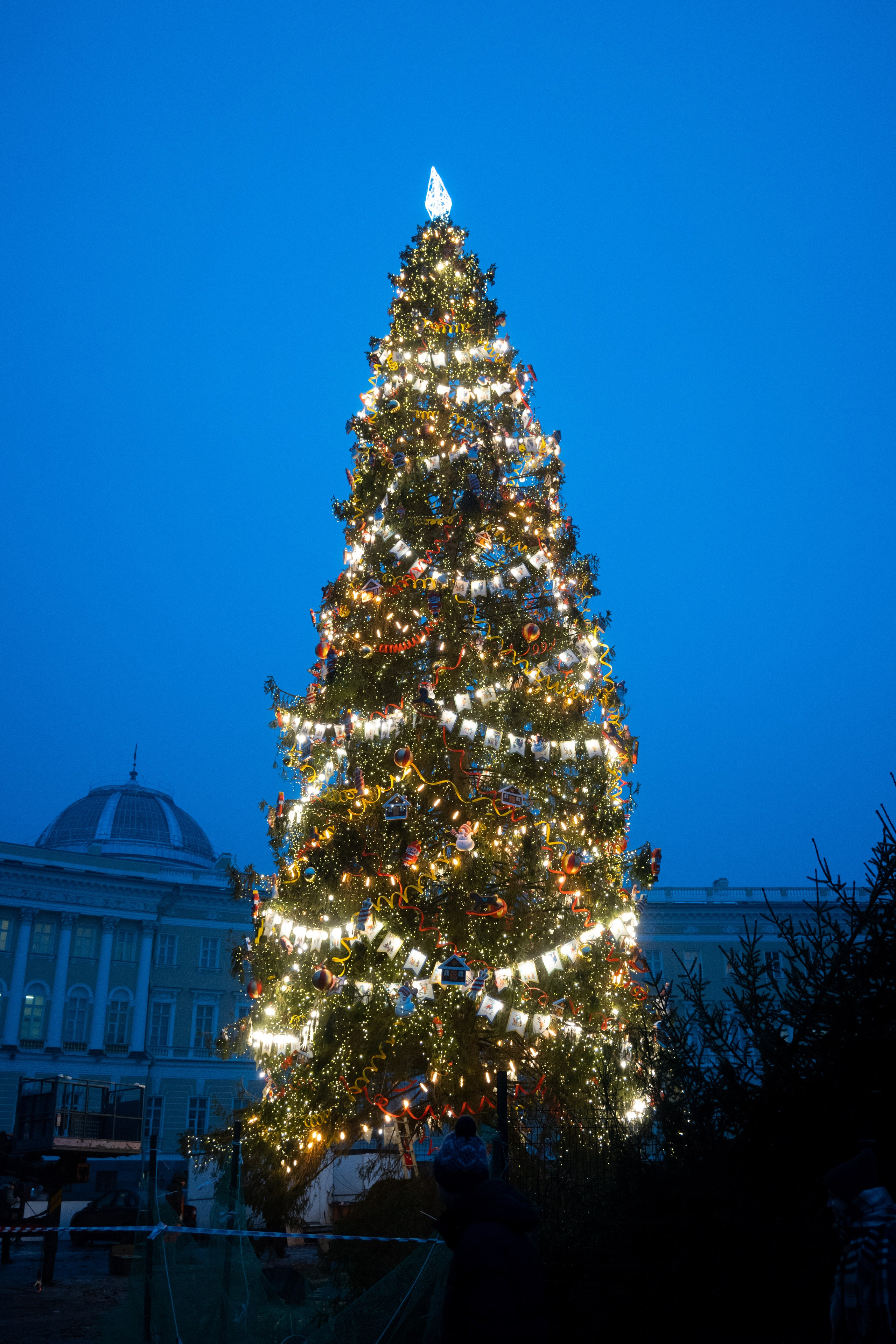 Зима. Фотограф и видеограф в Москве Анна Матюхина