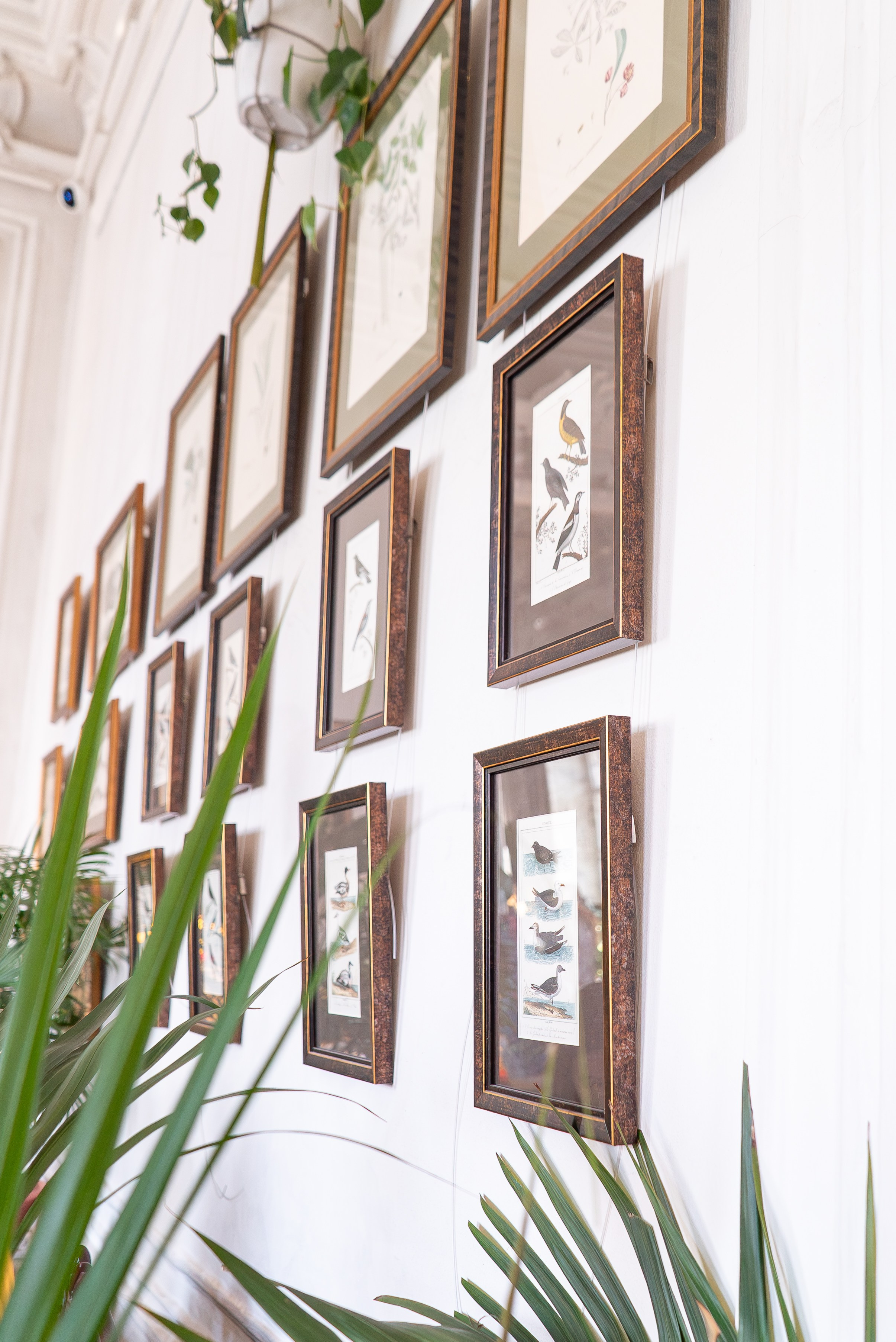 Усадьба. Александра Куликова фотограф, Москва