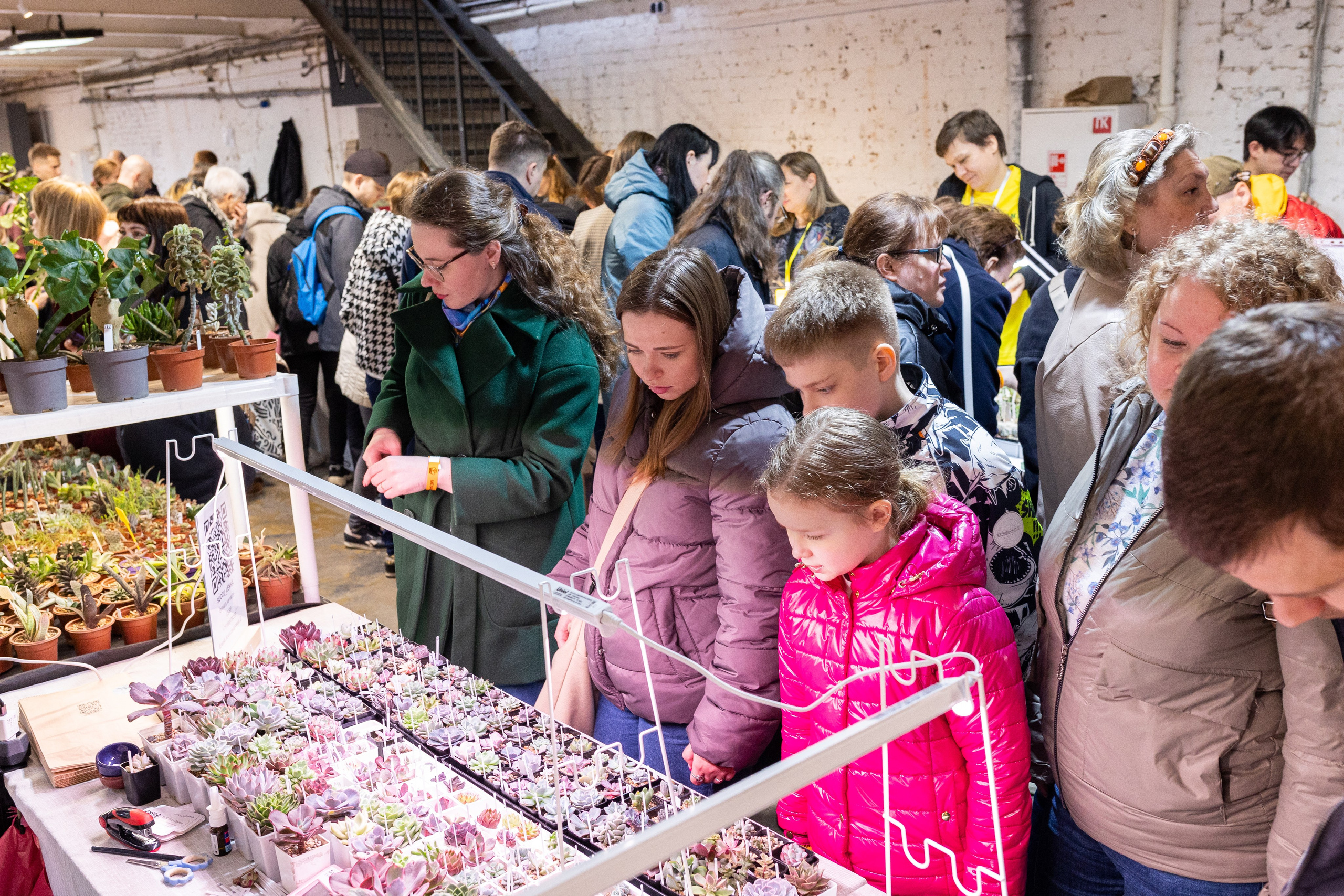 Meza market 2024. Александра Куликова фотограф, Москва