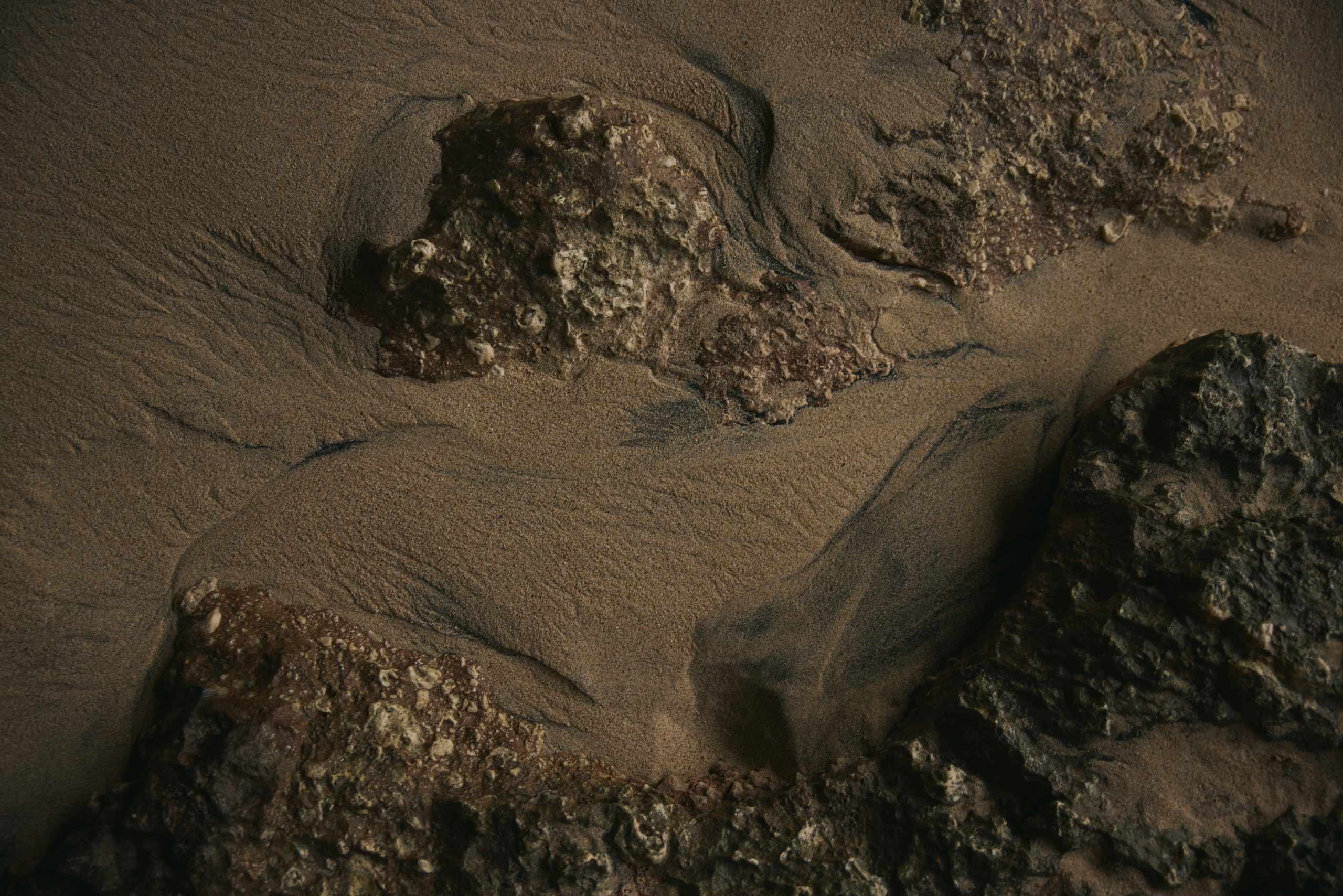 Ретрит Бали '26 «Be Your Own Muse»Март. Профессиональный фотограф Татьяна Евглевская