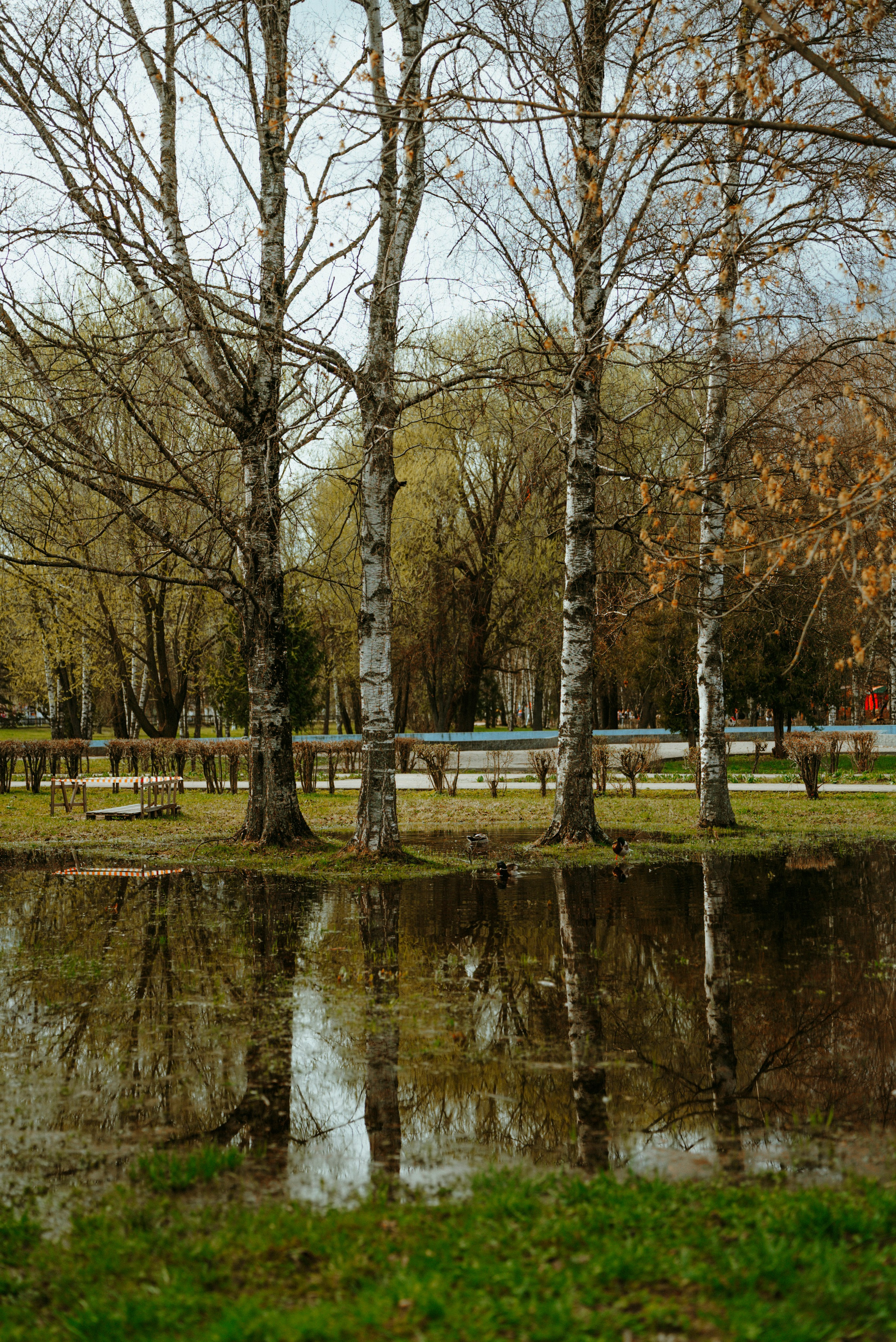 2024. Стрит-фотография, полная абсурда, идиотизма и красоты