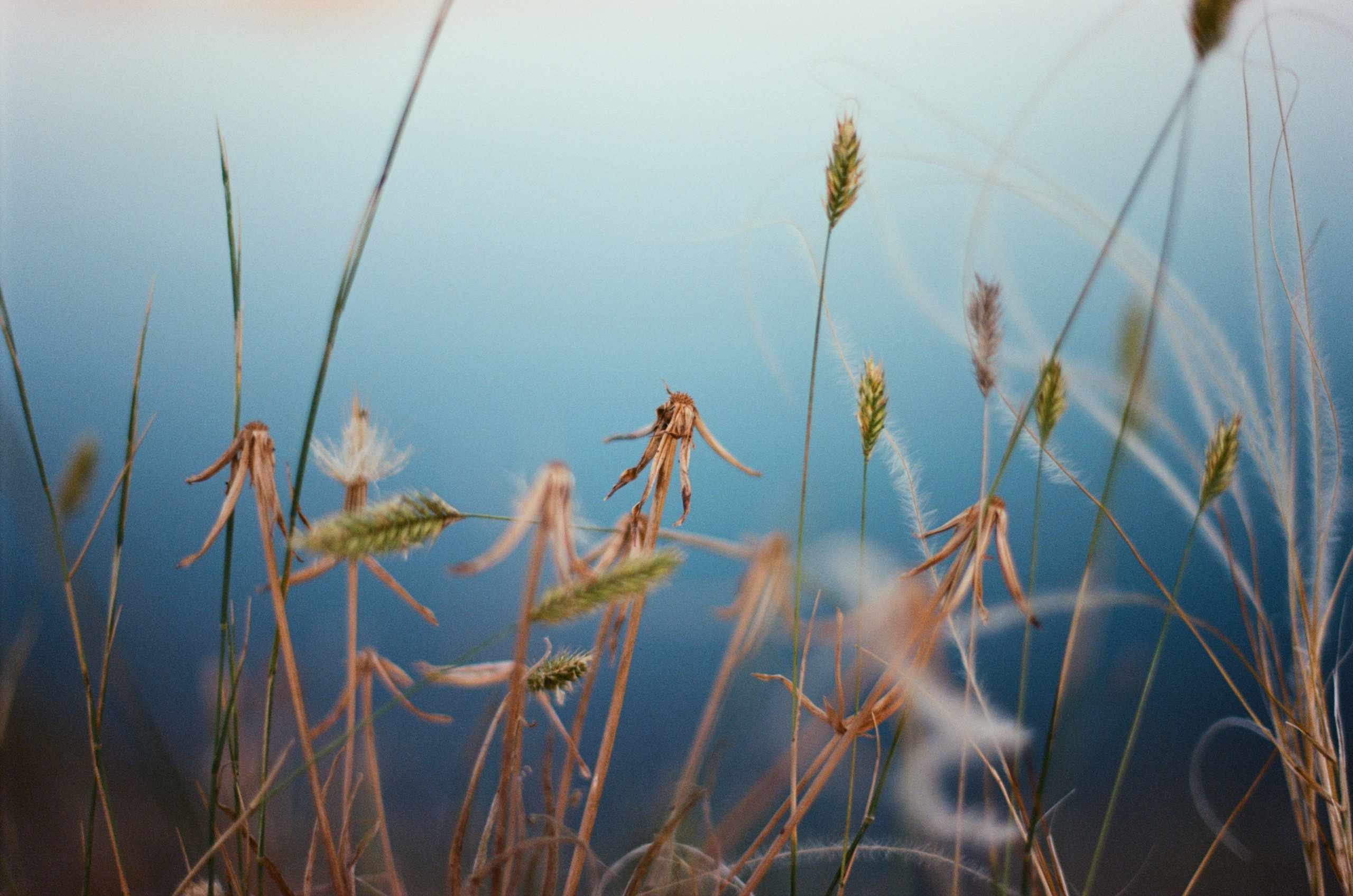 Point of no reply // ukraine, crimea X. EVER EXPOSED