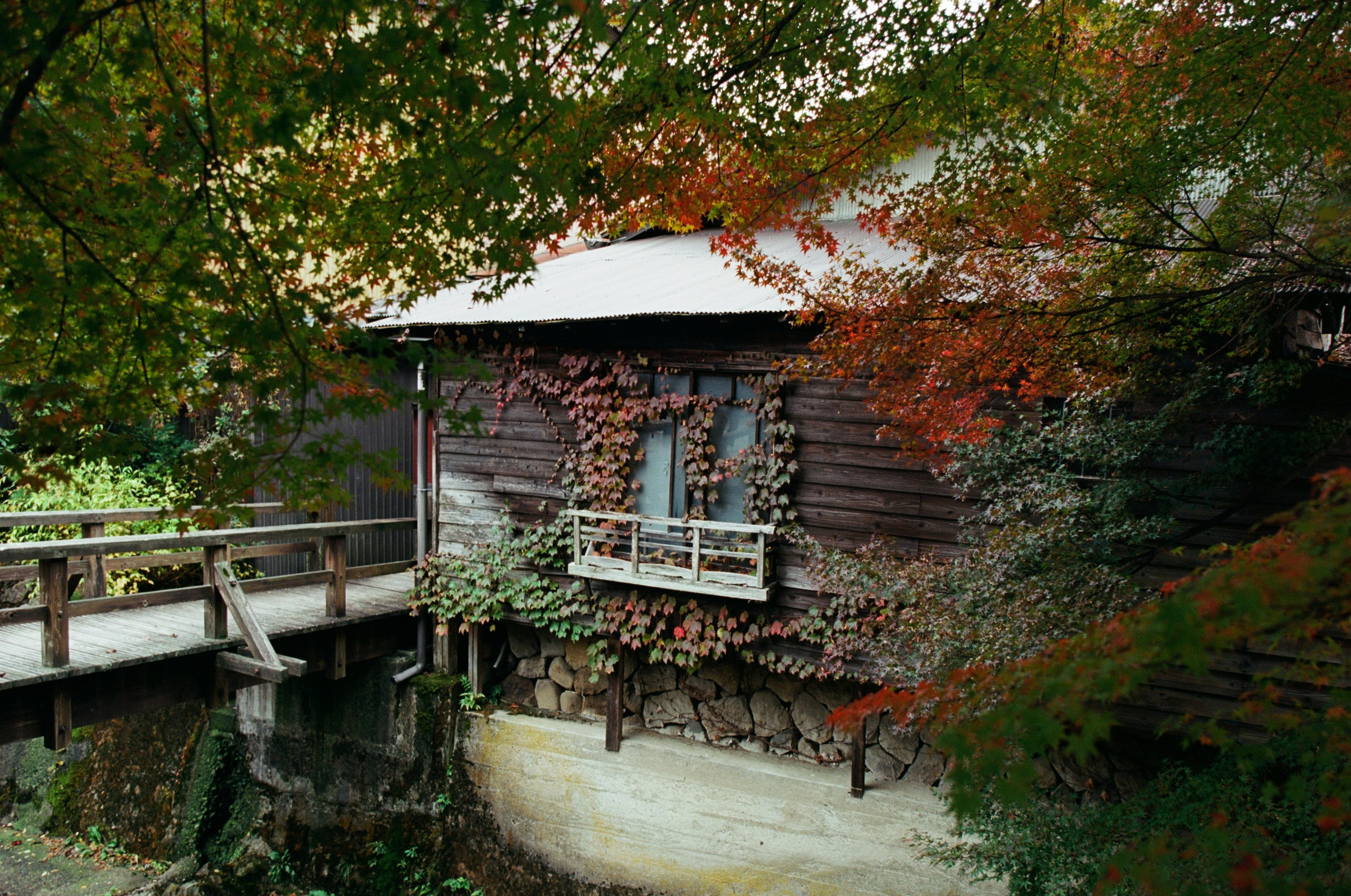 Out of noise // japan, takayama IV. EVER EXPOSED