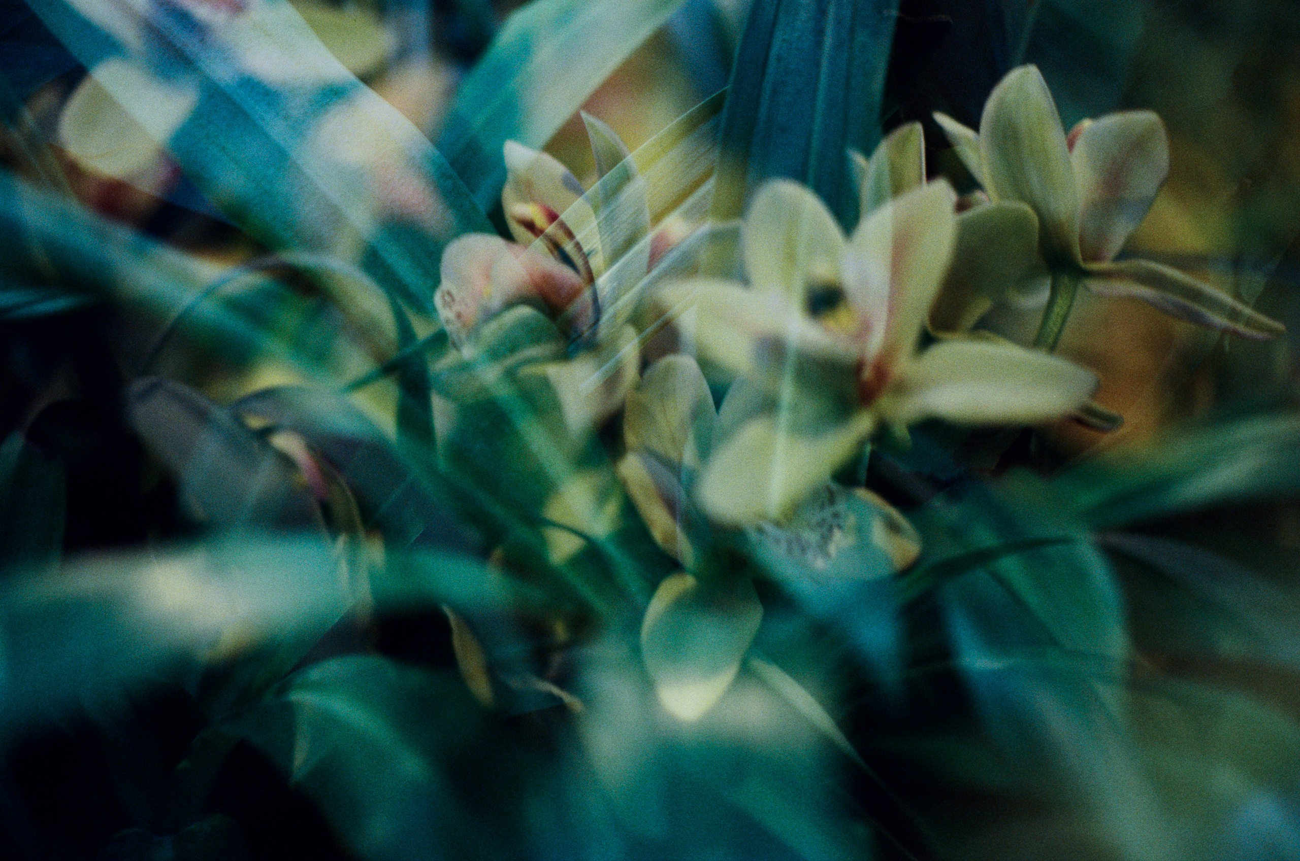 If i get high III. EVER EXPOSED