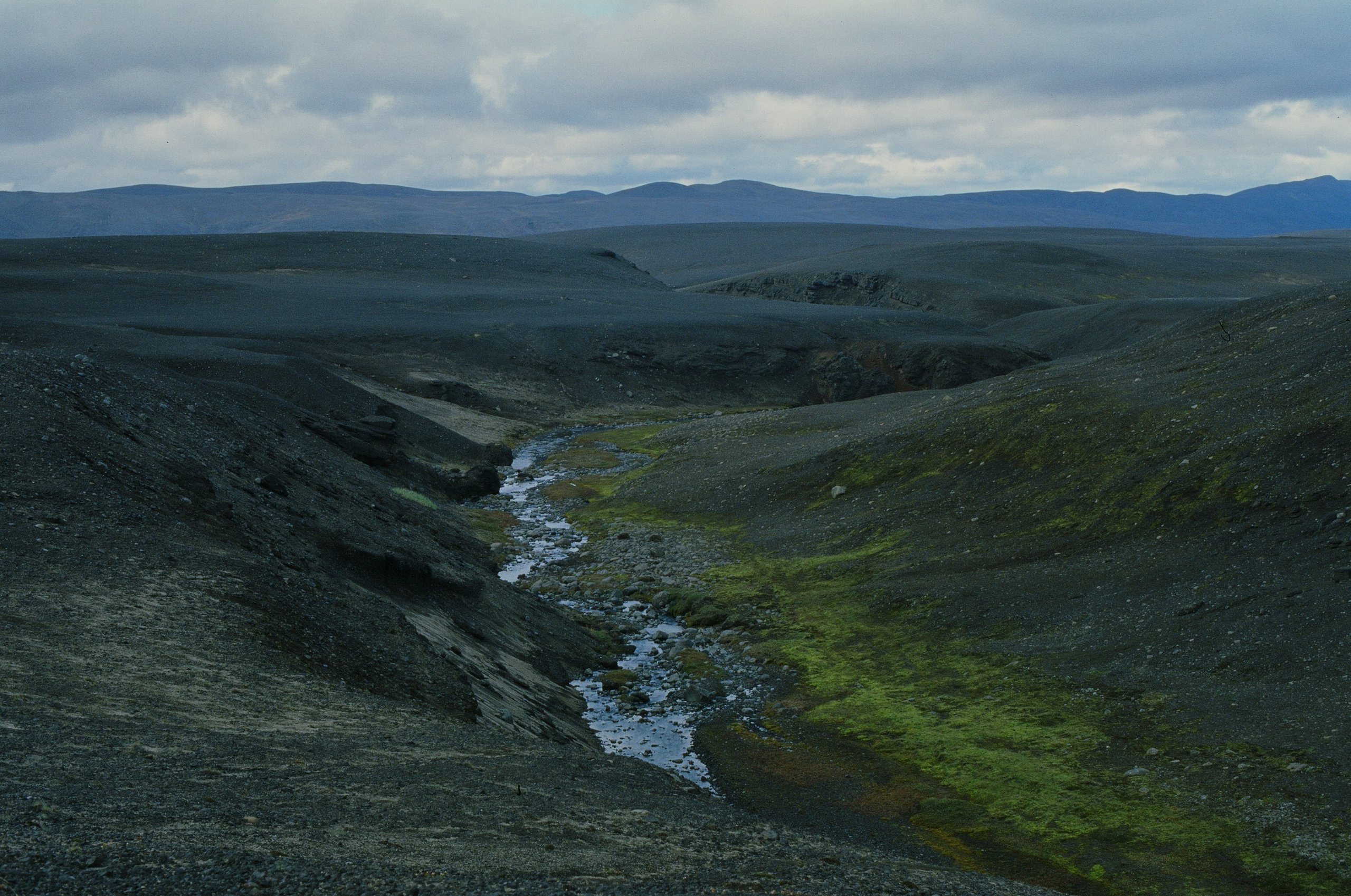 Bloodline // iceland, f907. EVER EXPOSED
