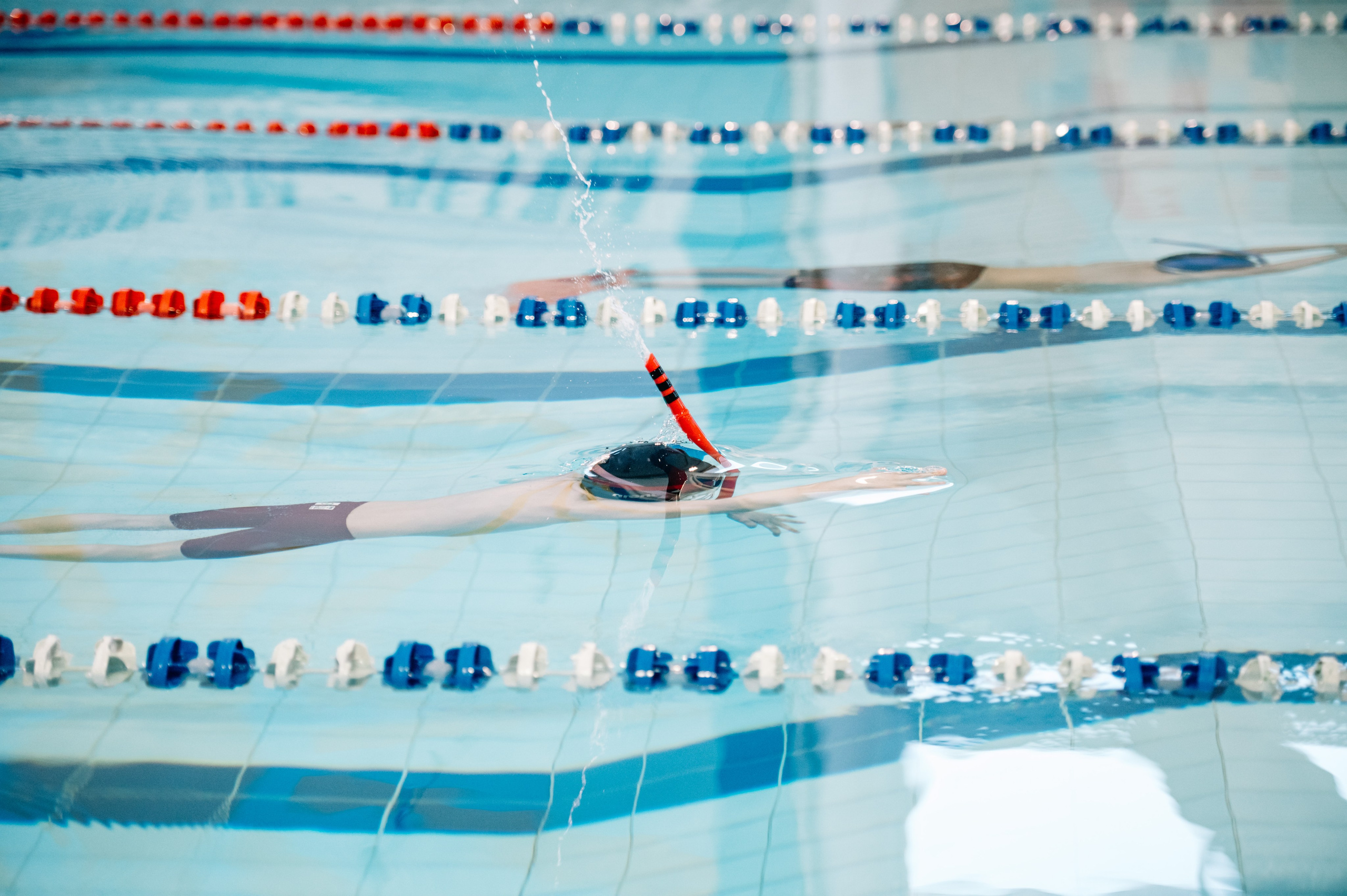 Финал кубка плавания ШП Дельфин, май 2024. Спортивный фотограф в Туле и Тульской области. Файсханова Фото Спорт