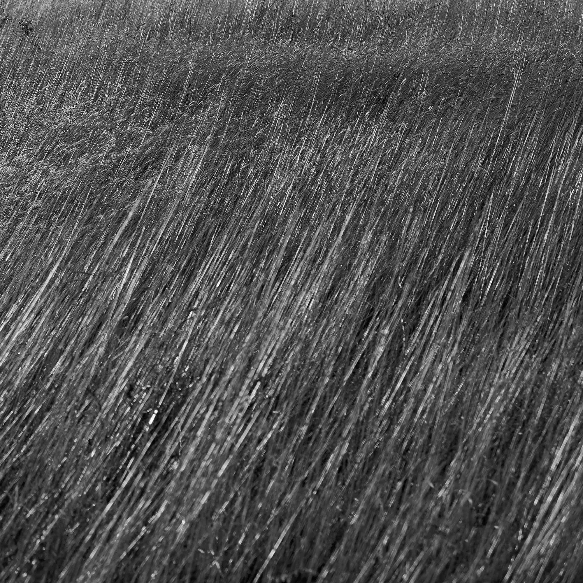 Текстуры — природа. Яркие фото на Чёрном море