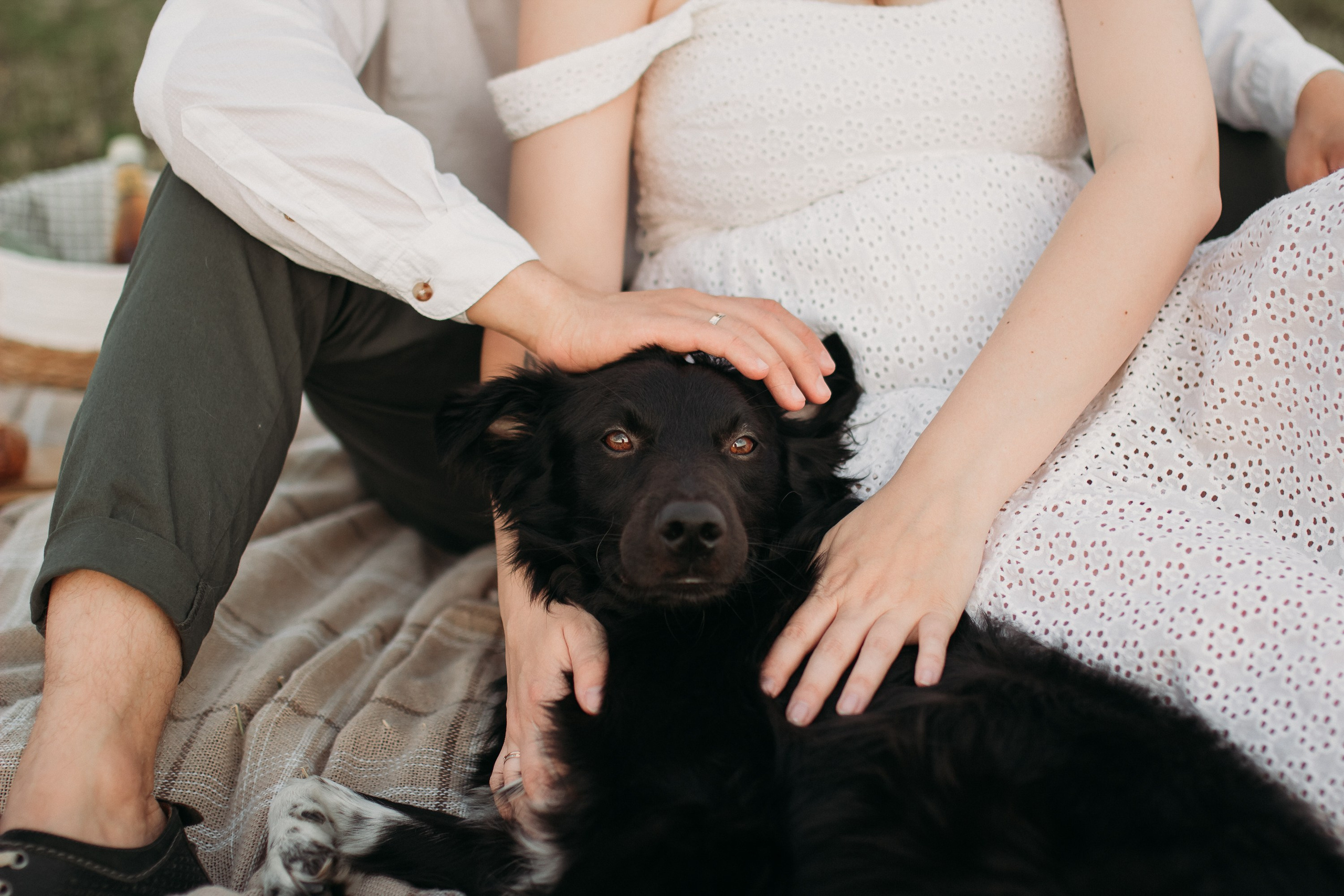 Фотосессия беременности в поле на закате. Семейный фотограф Екатеринбург Черепанова Олеся