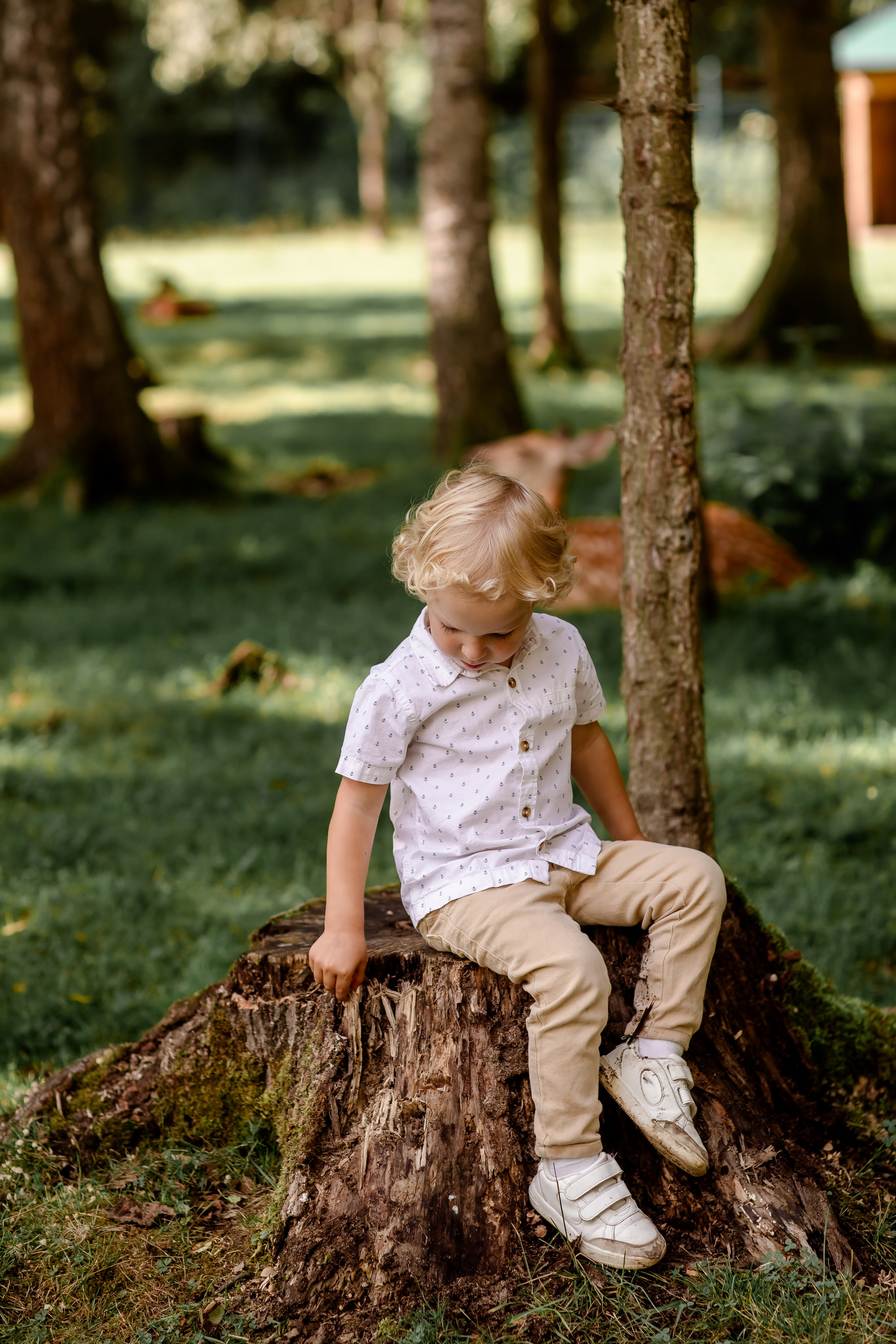 Дети. Семейный и детский фотограф в Москве и на Новой Риге Светлана Демина