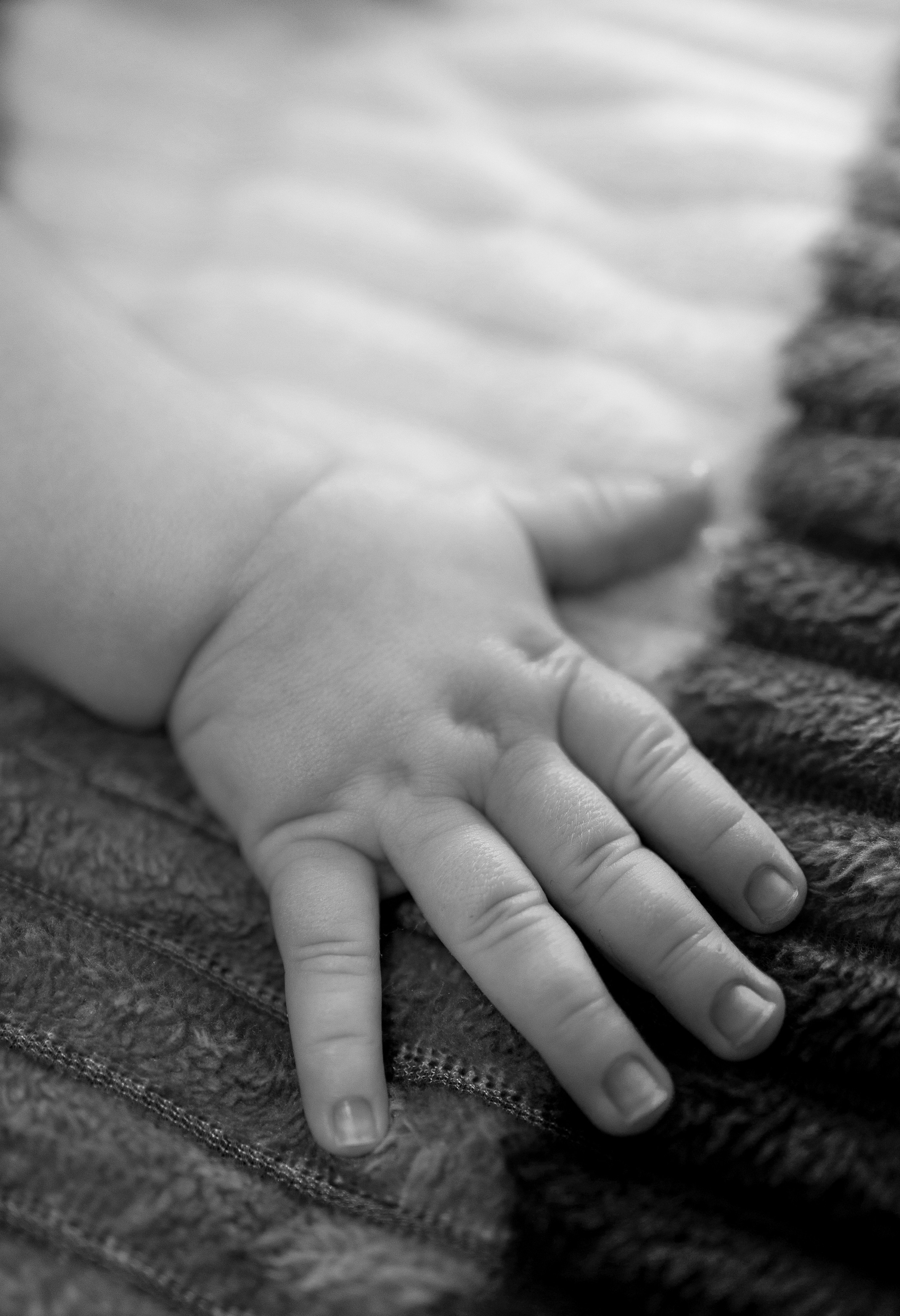 Полтортика на полгодика. Аникеева Тамара | Портретный фотограф во Владивостоке