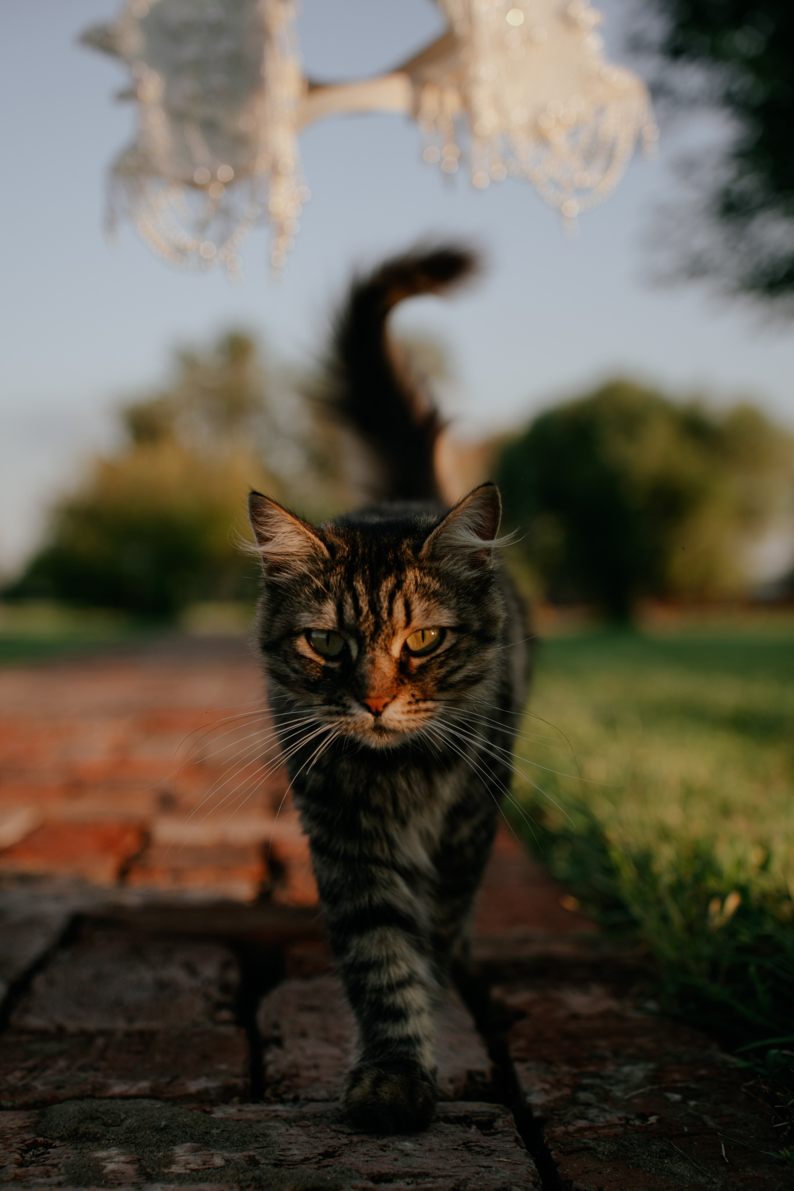 Никита и Лика. Фотограф Сергей Филиппов