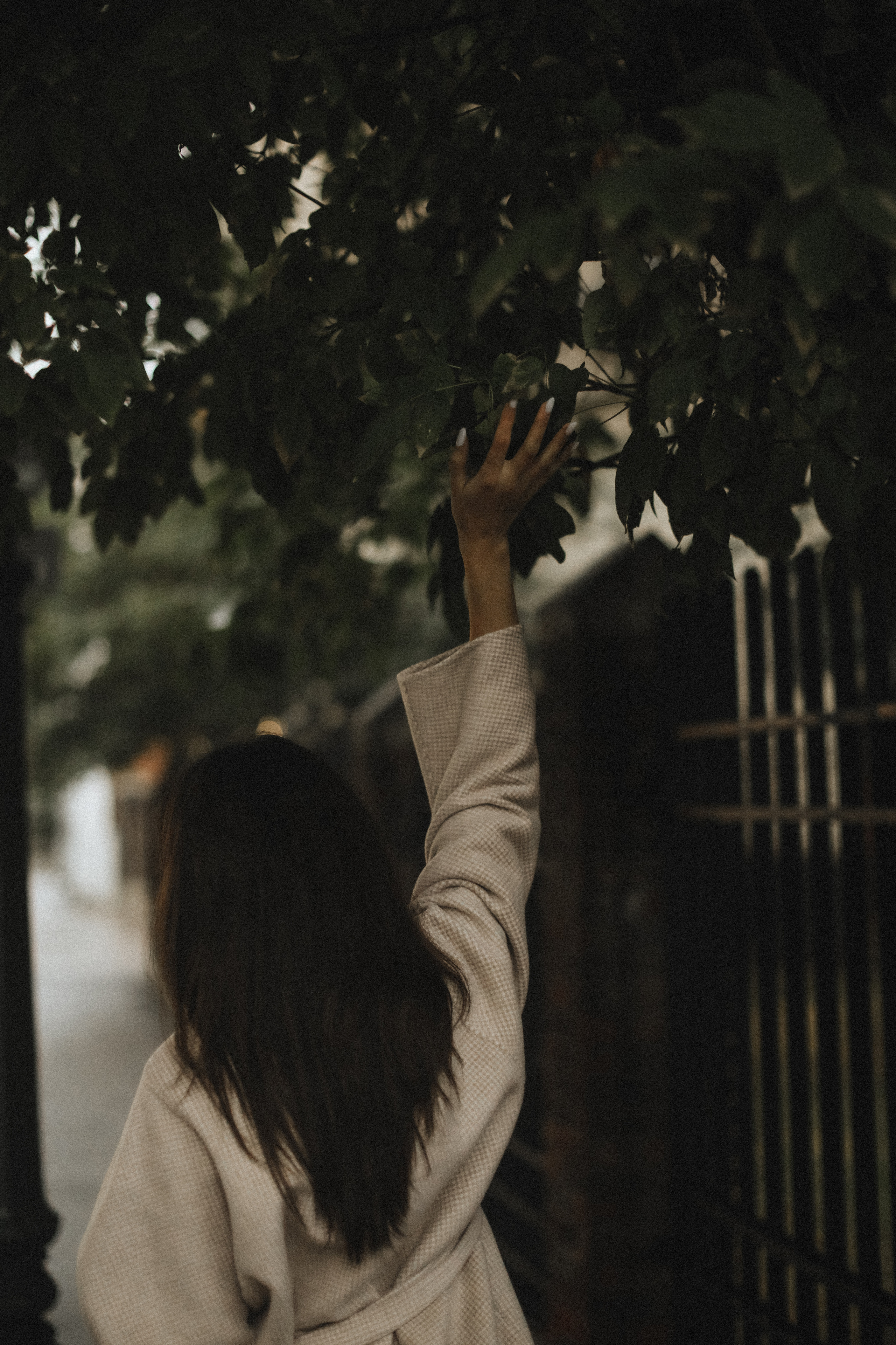 Anastasia. Семейный фотограф в Москве Алевтина Носова