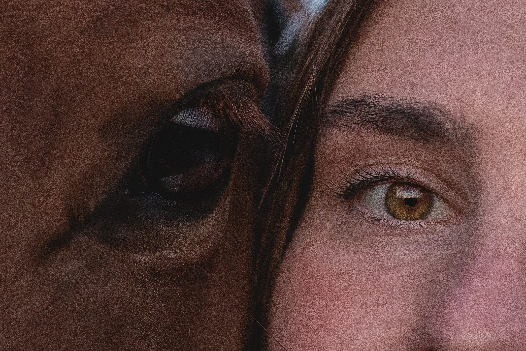 Съёмки с лошадьми. ESHE_PHOTO Фотограф анималист в Москве и Московской области