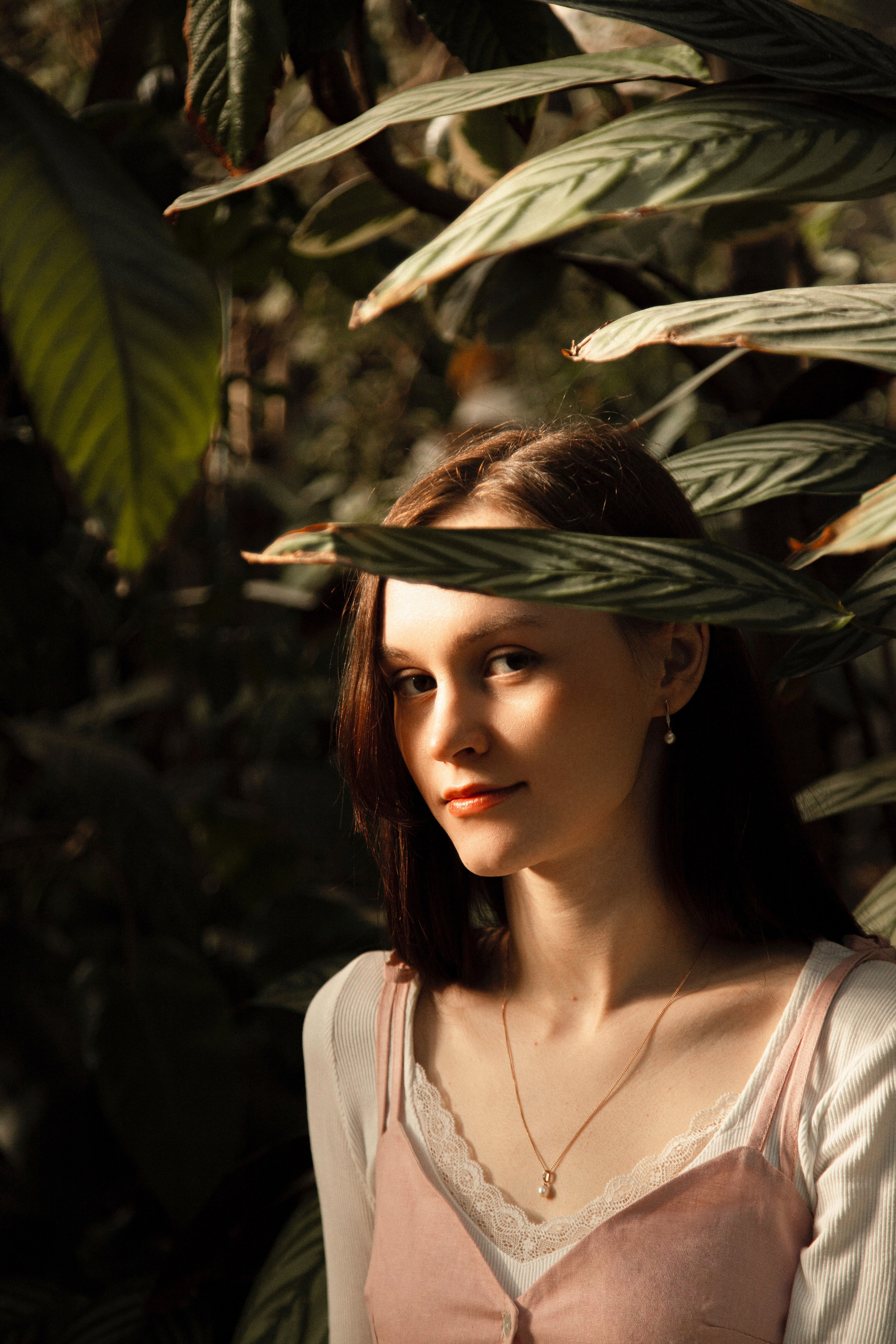 Оранжерея Таврического сада