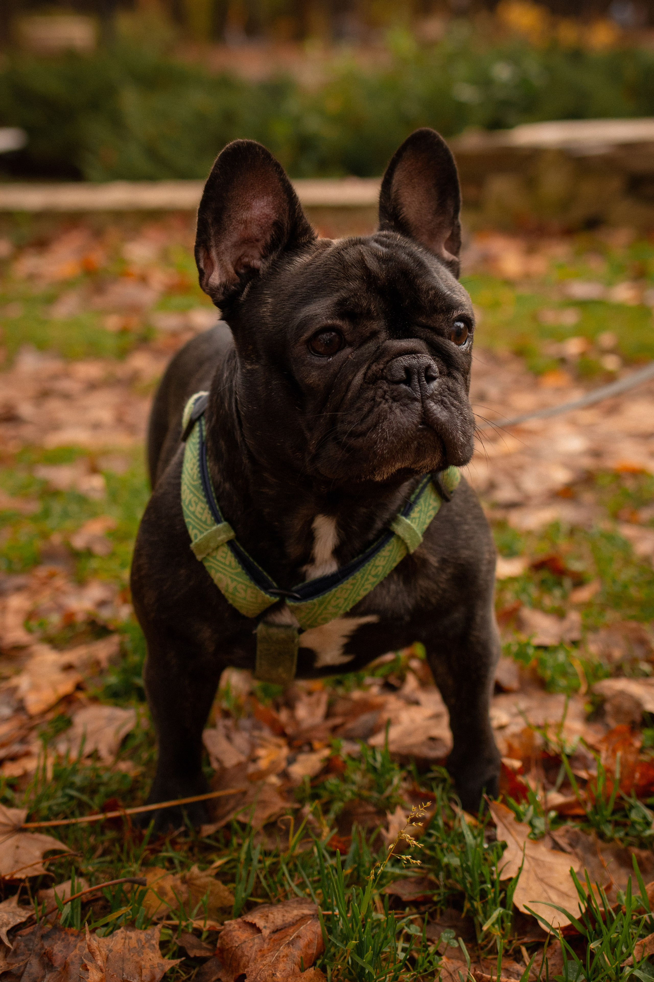 Альбом1. Фотограф Мария Сургаева | Профессиональная фотосъемка в Москве