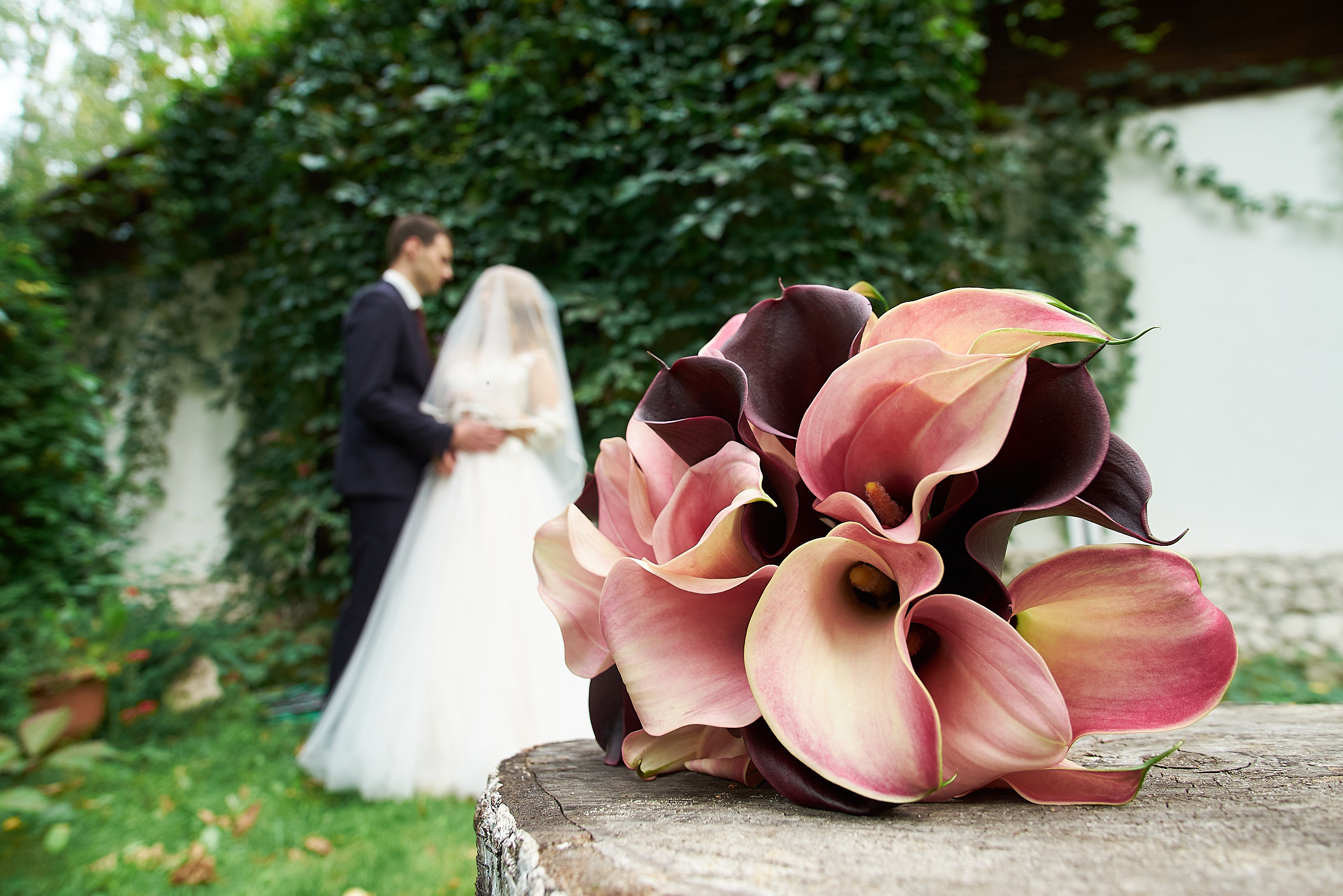 Свадьба красивой пары в Ильдорф