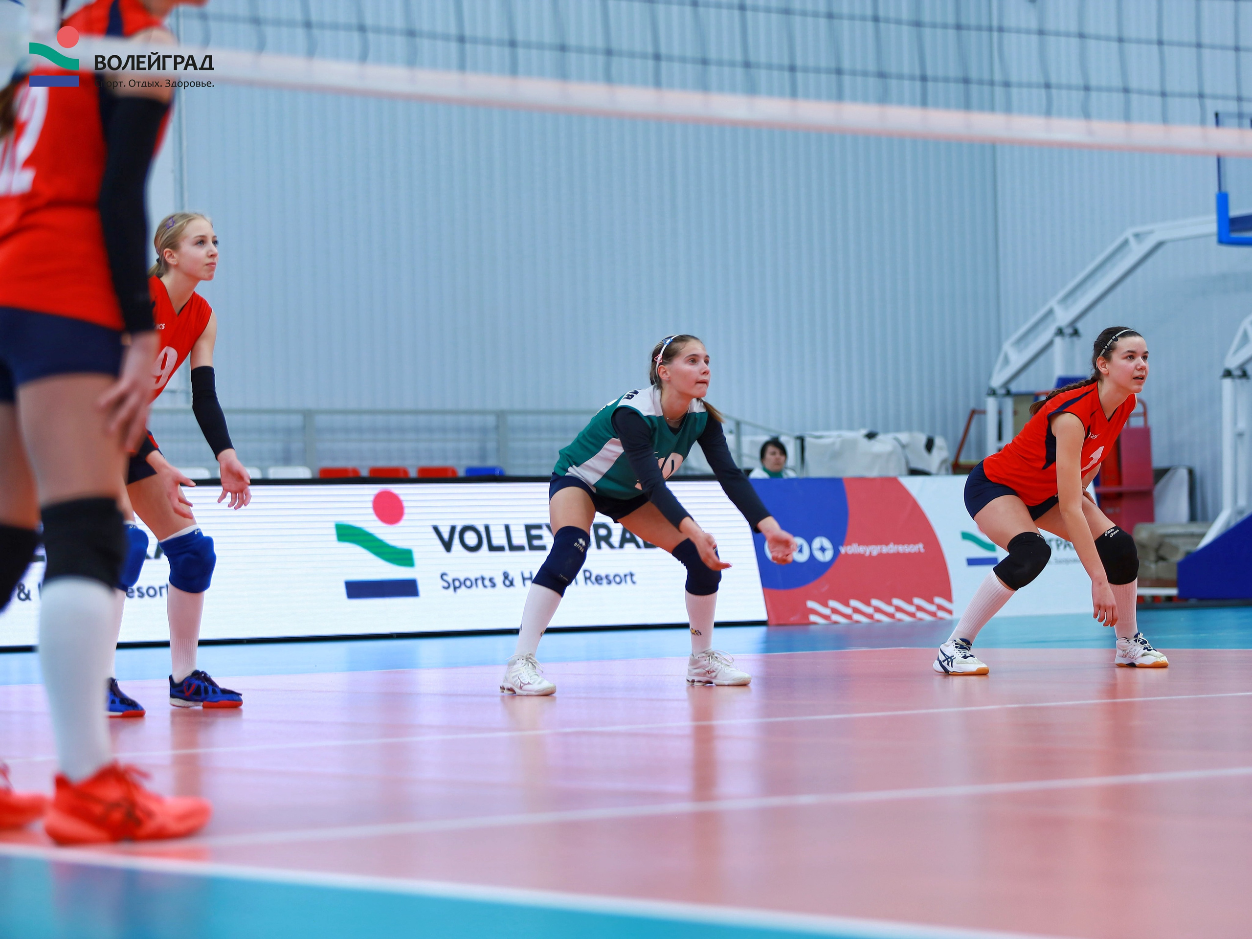 Волейбол ВФВ 07.04.24. Репортажный фотограф Анапа