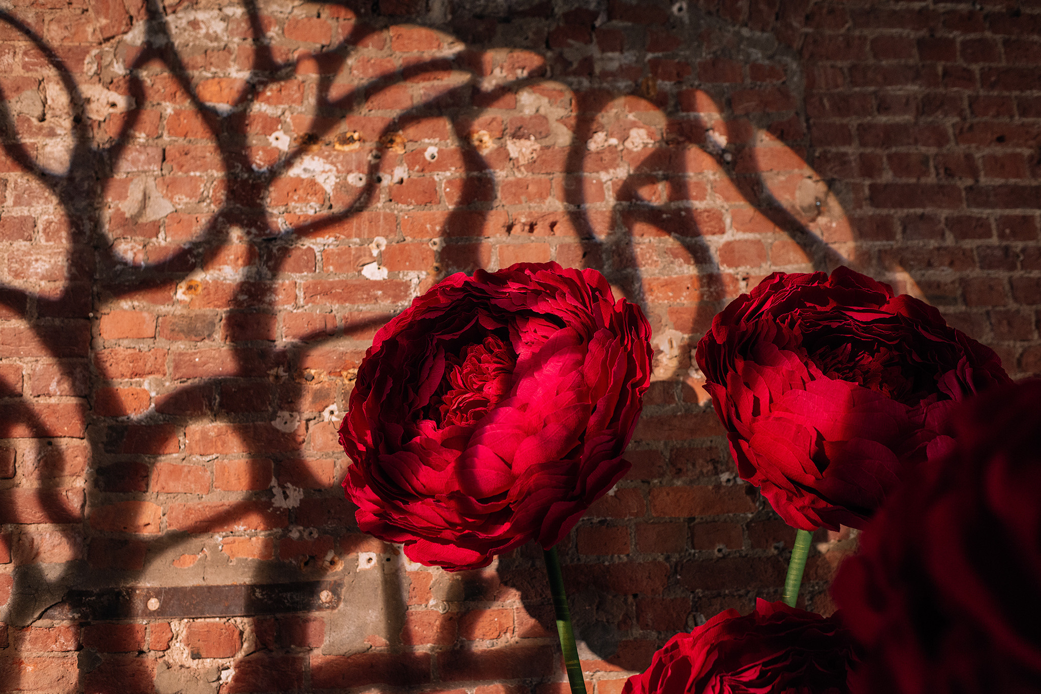 Весеннее обострение. Provocateur group. Репортажный фотограф в Санкт-Петербурге Анастасия Клёпова