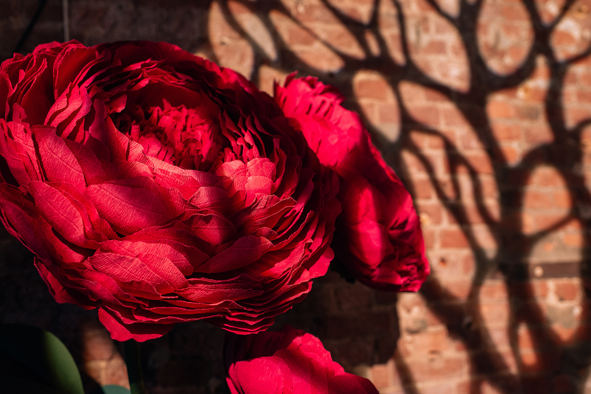 Весеннее обострение. Provocateur group. Репортажный фотограф в Санкт-Петербурге Анастасия Клёпова