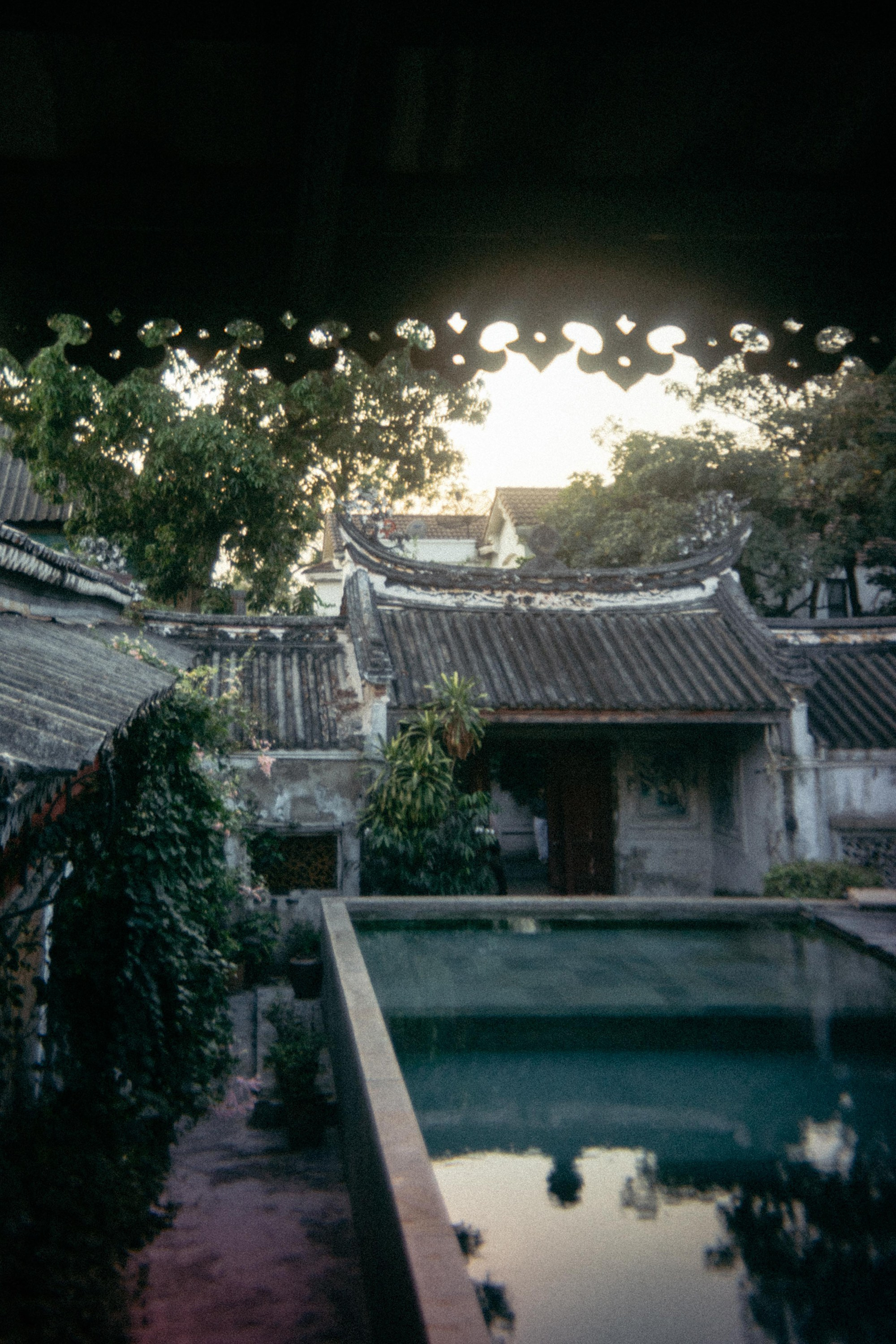 Шри + Бангкок. Фотограф Тбилиси Саша Мороз