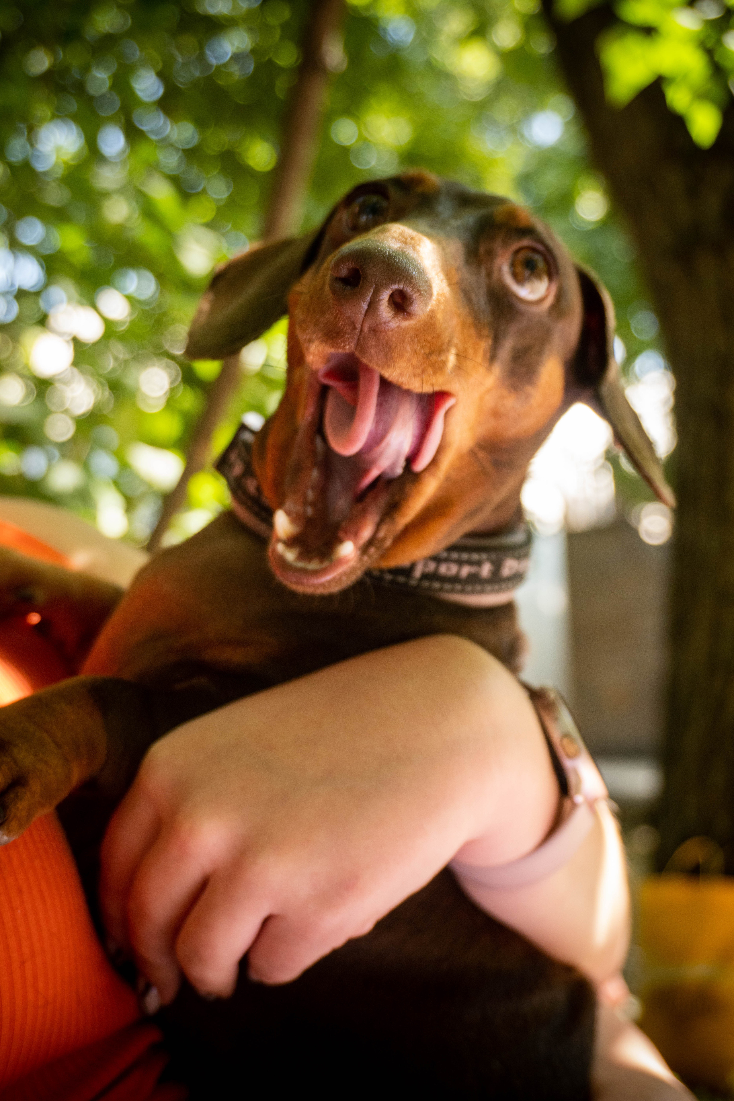 Эксперименты. Портретный фотограф, ретушер в Ростове-на-Дону Элларян Анастасия