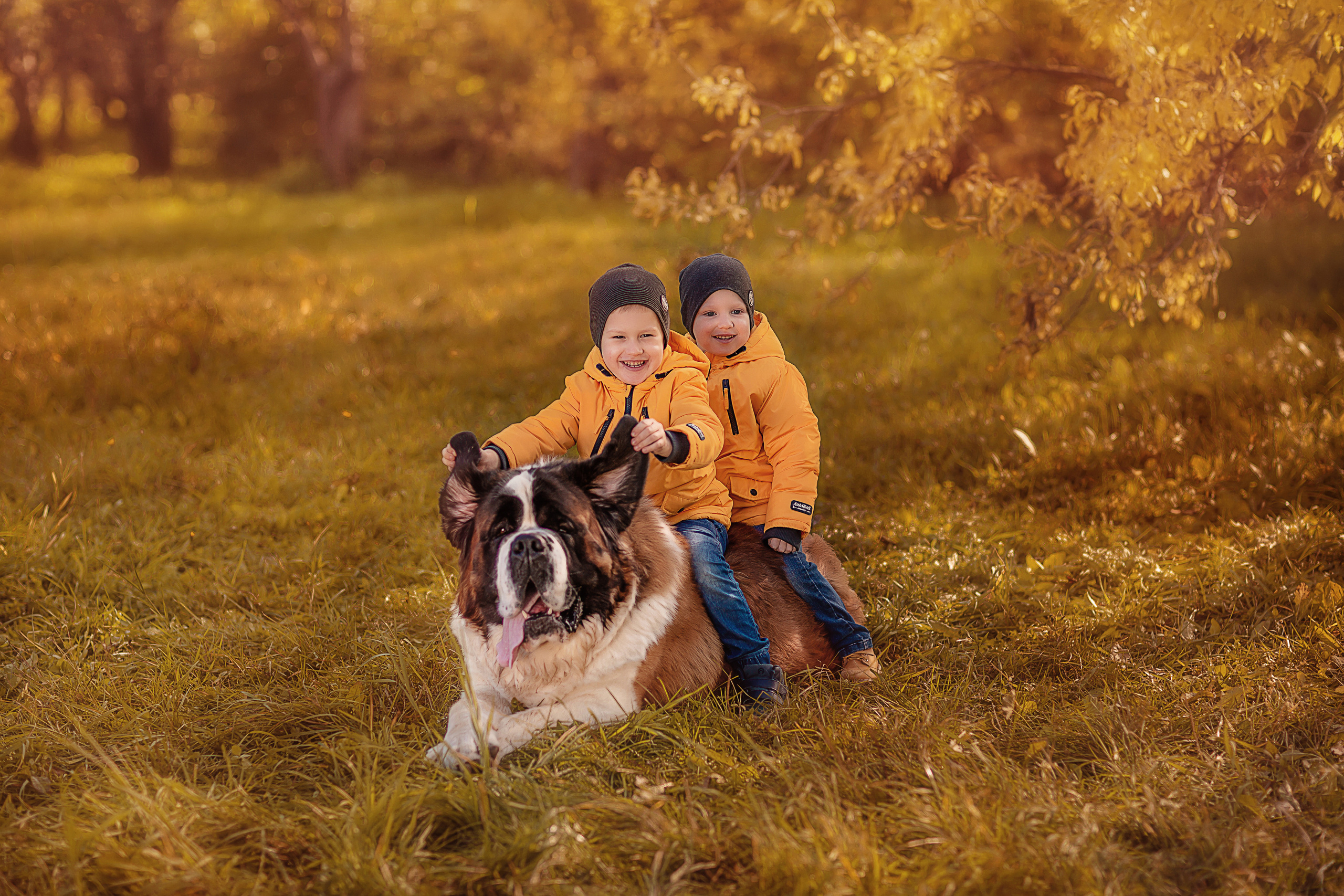 Осенние фотосессии. Семейный, детский фотограф в Москве, Подмосковье